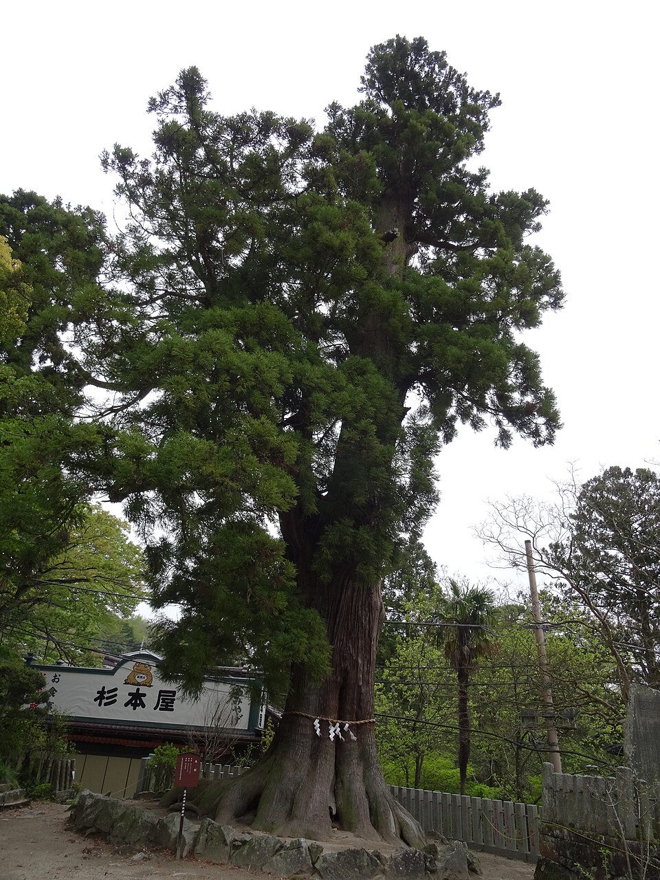 筑波山神社 3