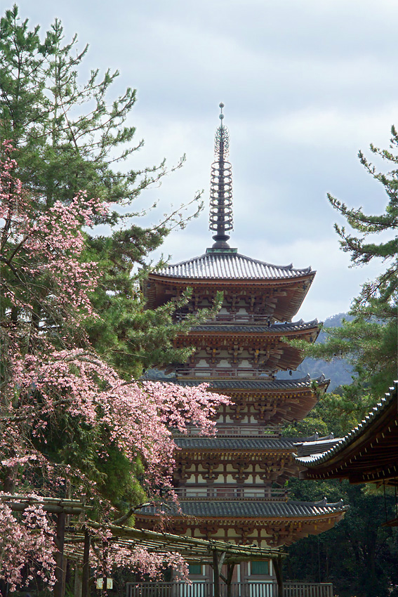 Daigoji 1