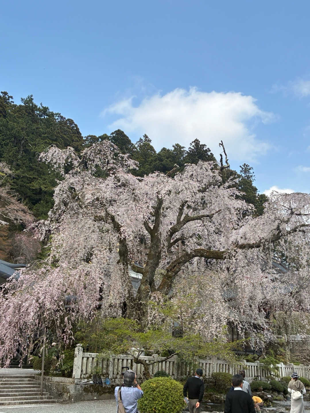 身延山久遠寺 1