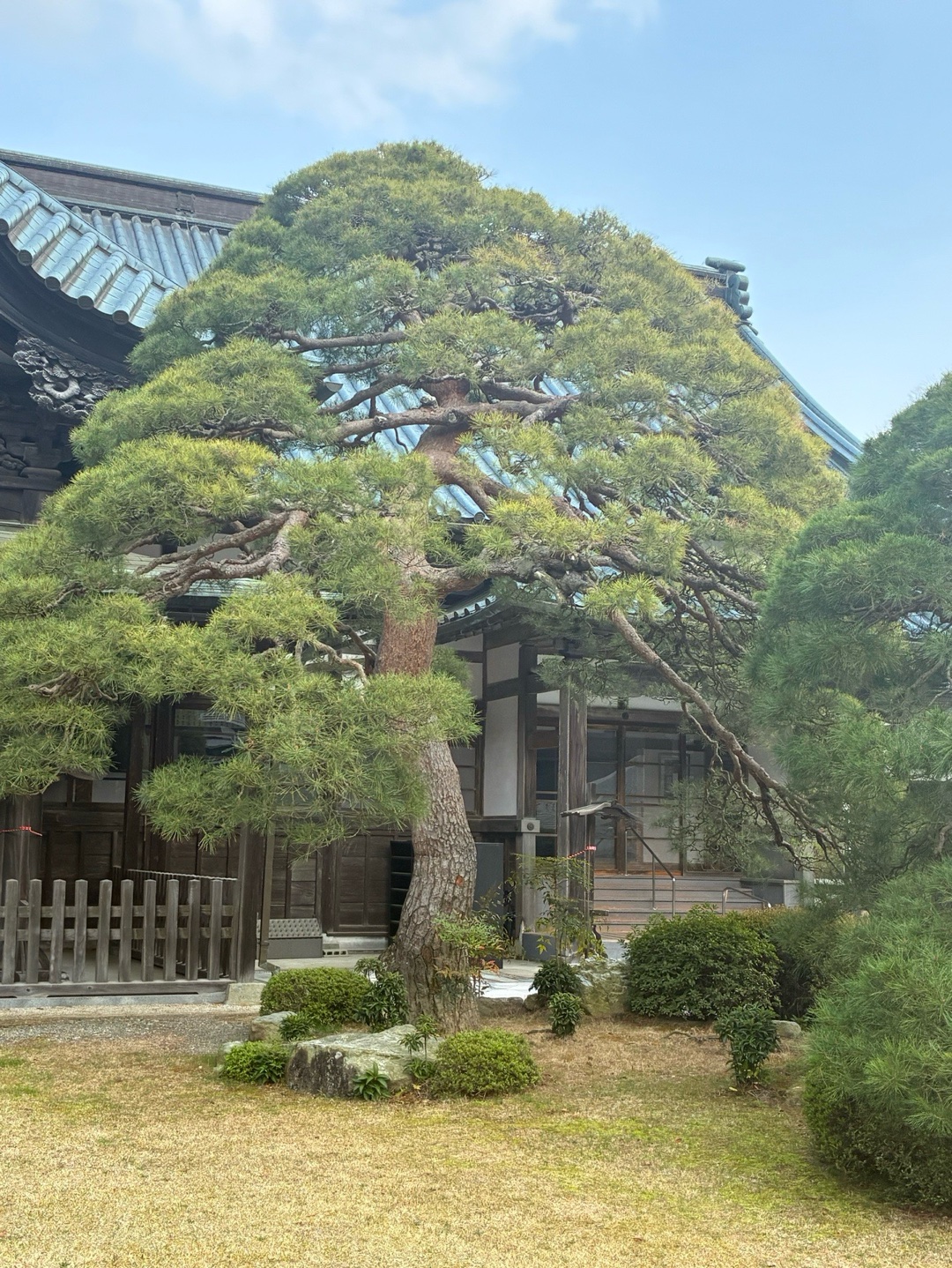 身延山久遠寺 3