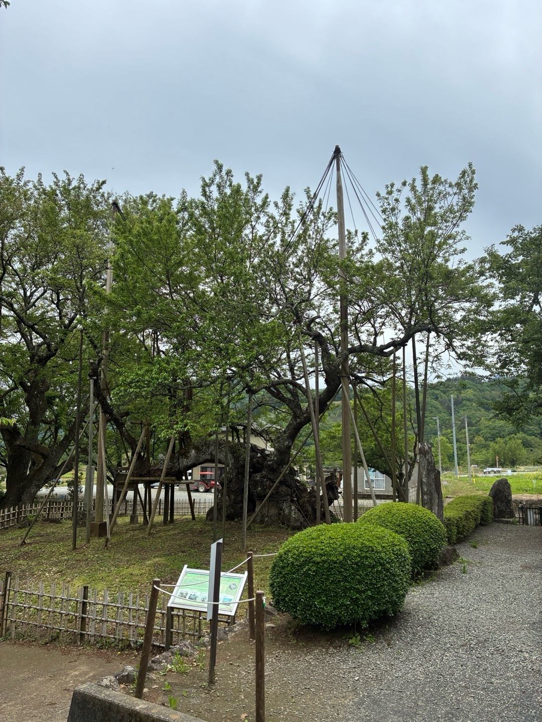 實相寺 1