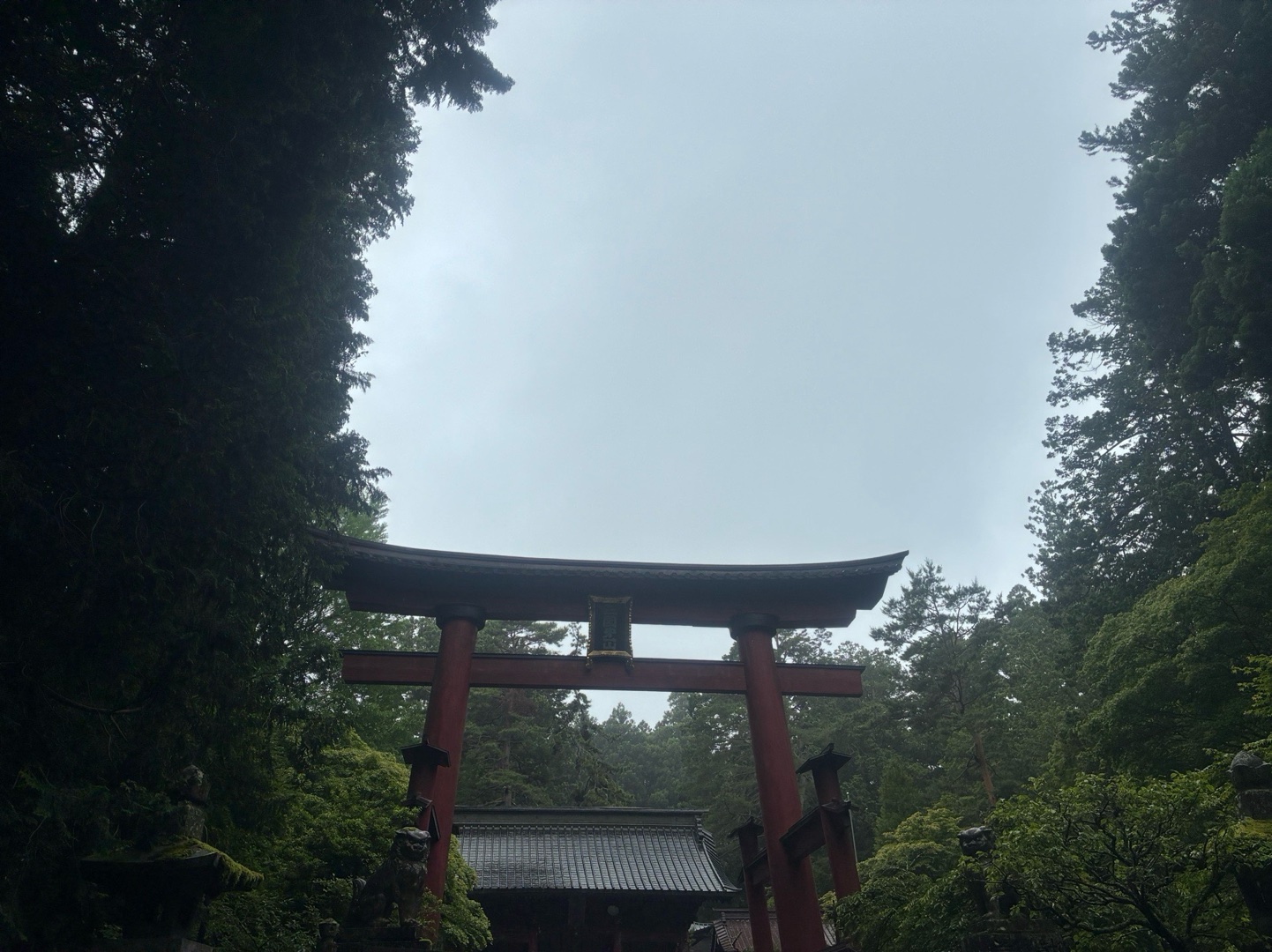 北口本宮冨士浅間神社 5
