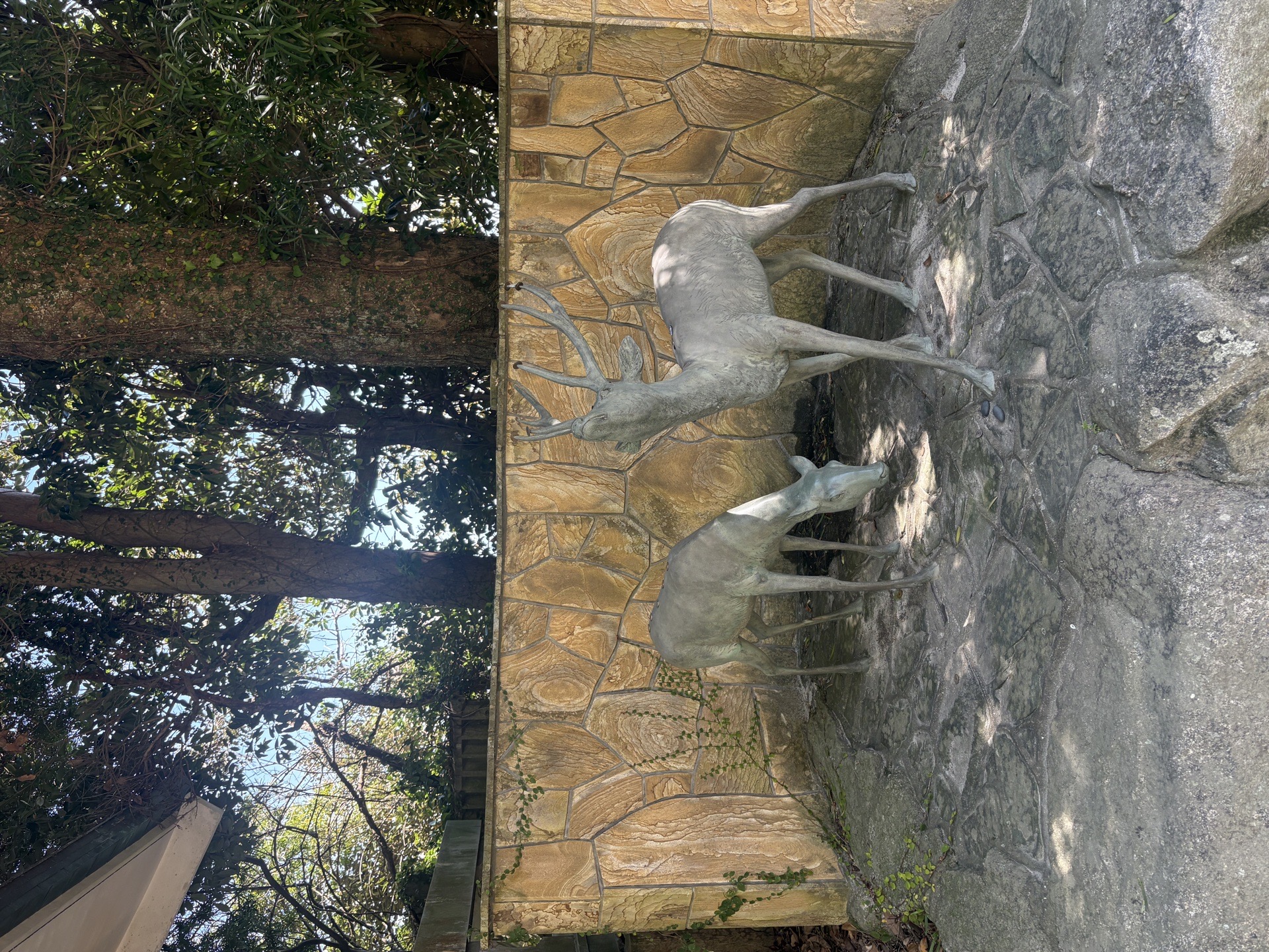 志賀海神社 5