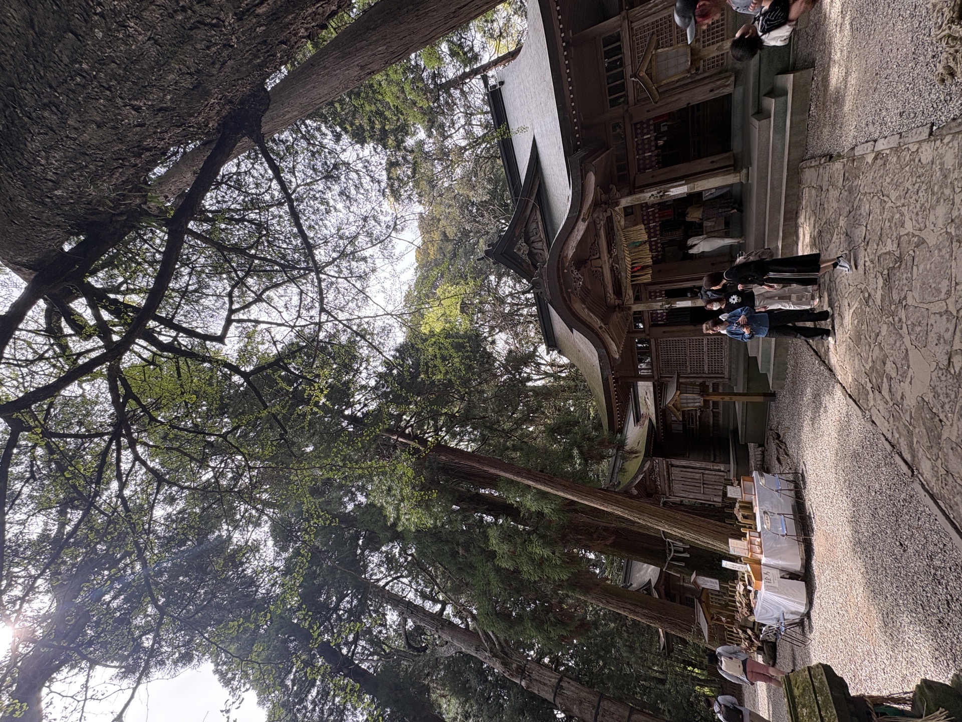 高千穂神社 3