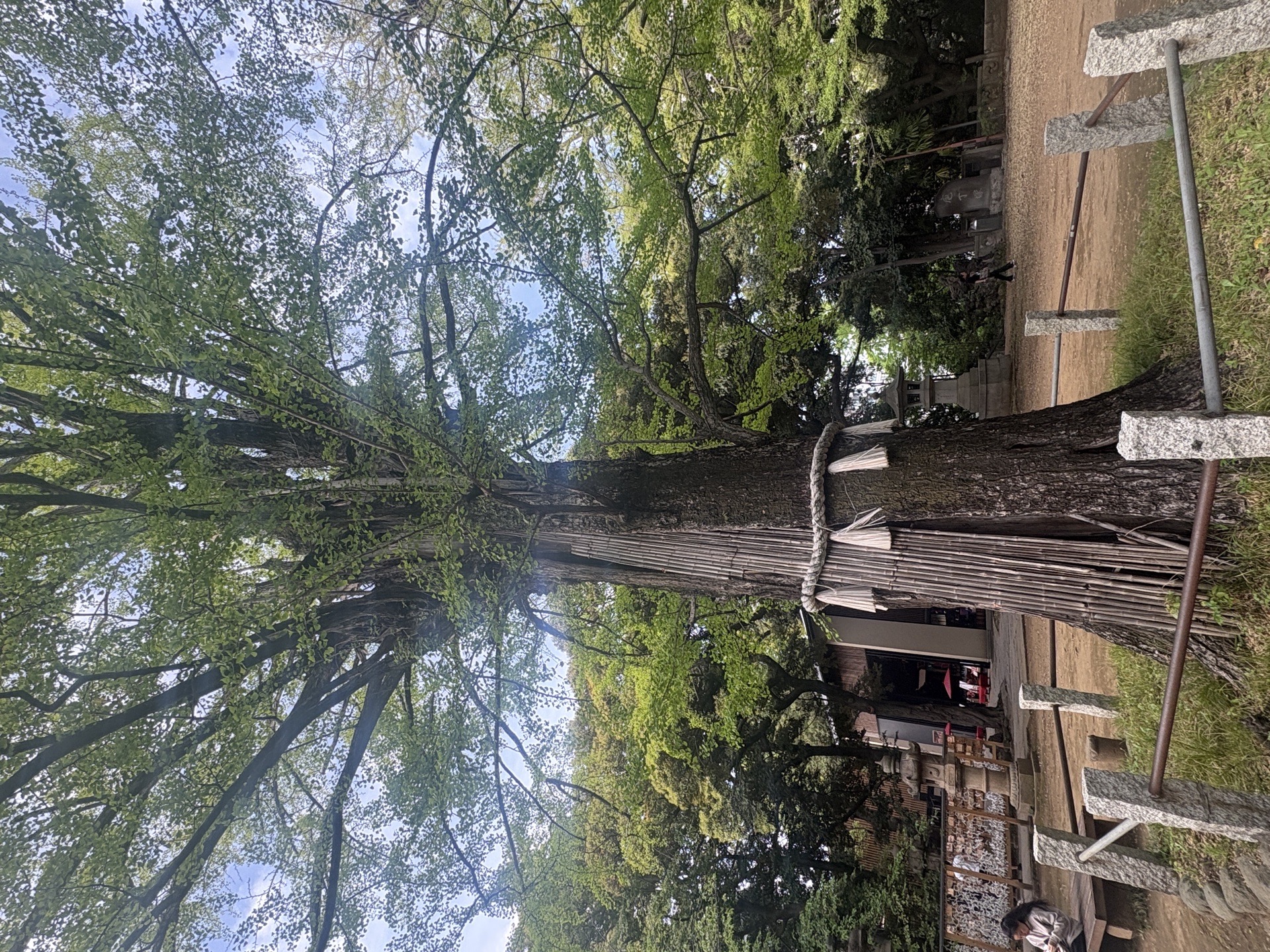 Akasaka Hikawa Jinja