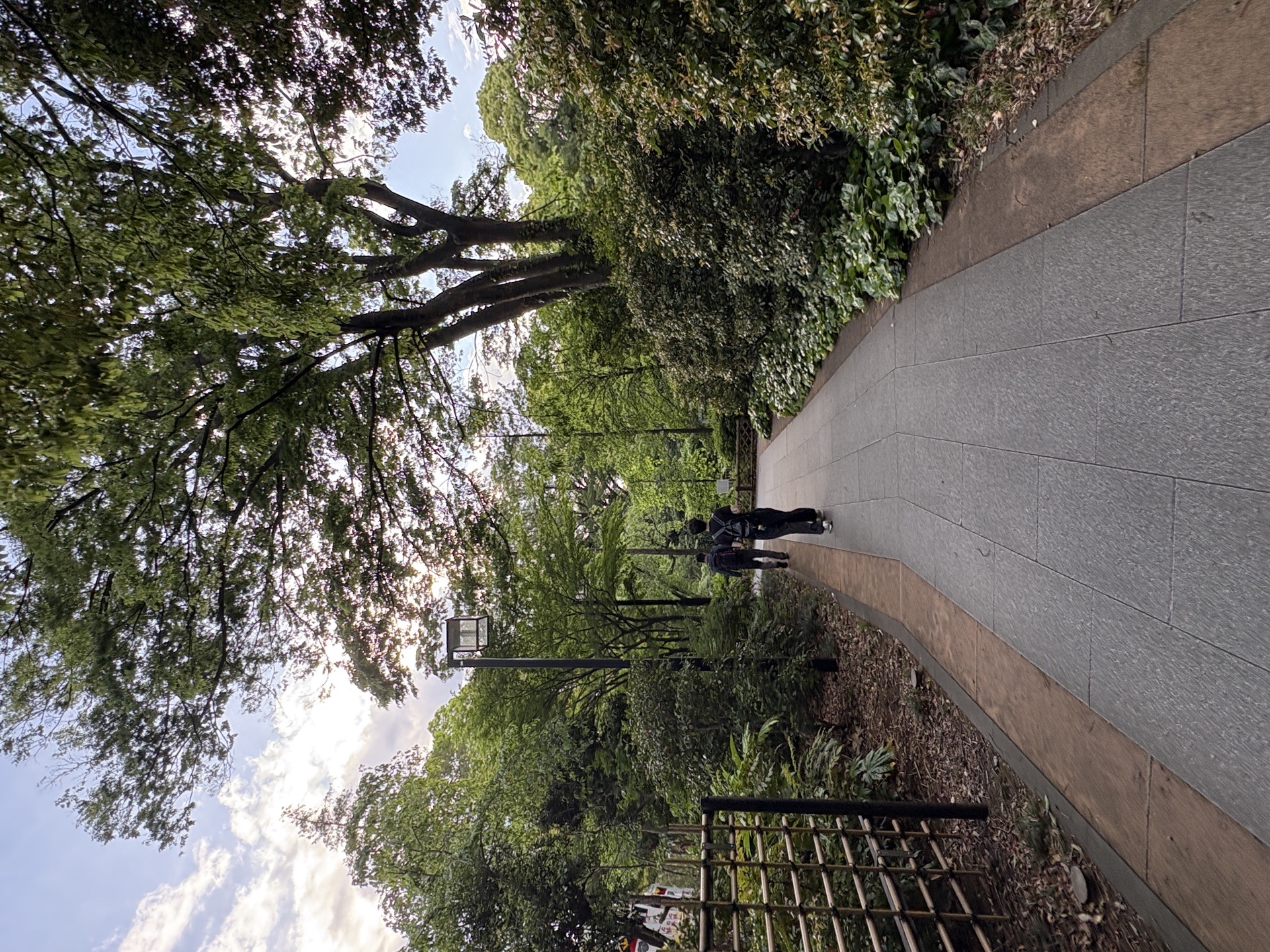 東郷神社の写真 3