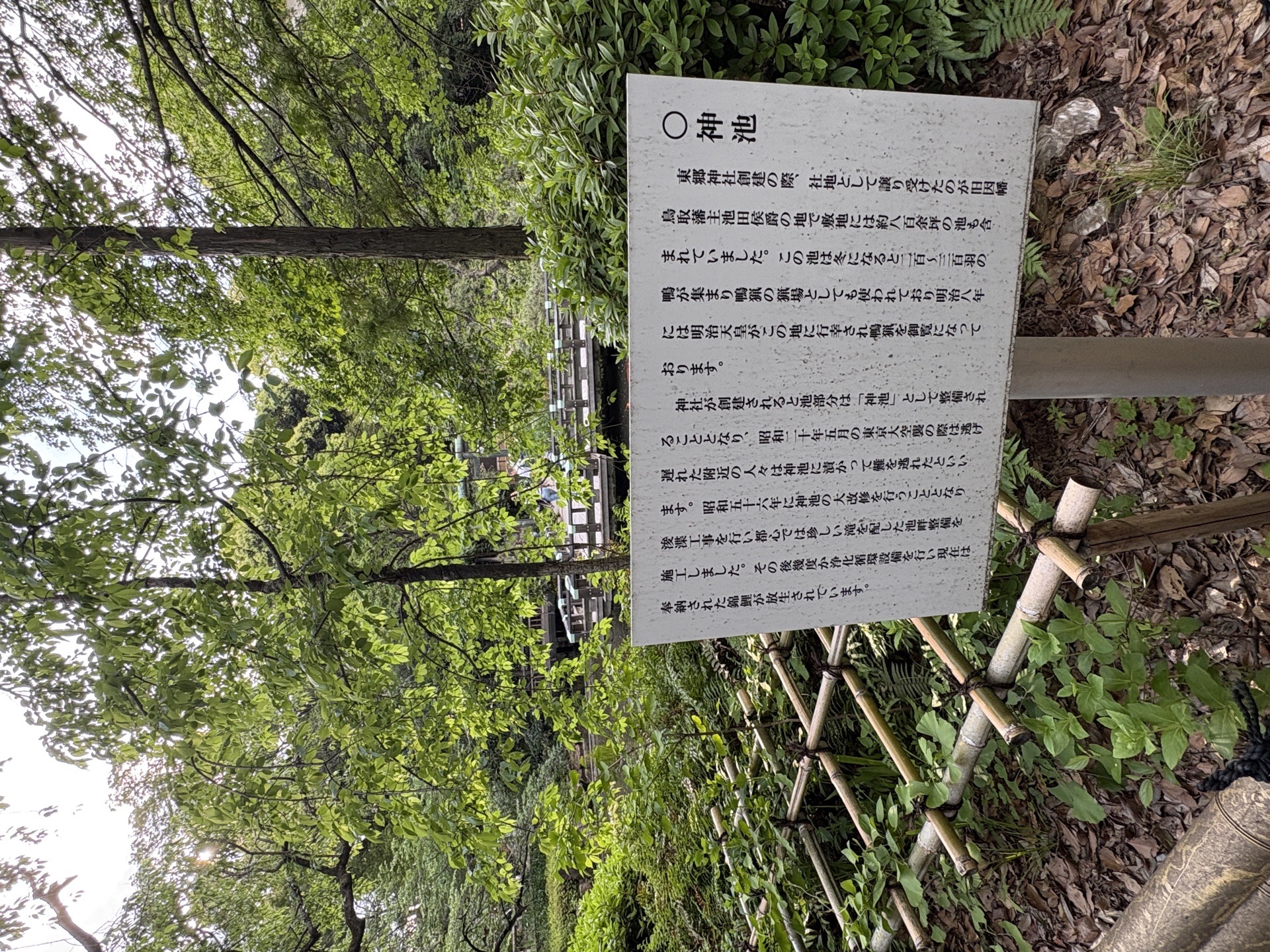 東郷神社の写真 4