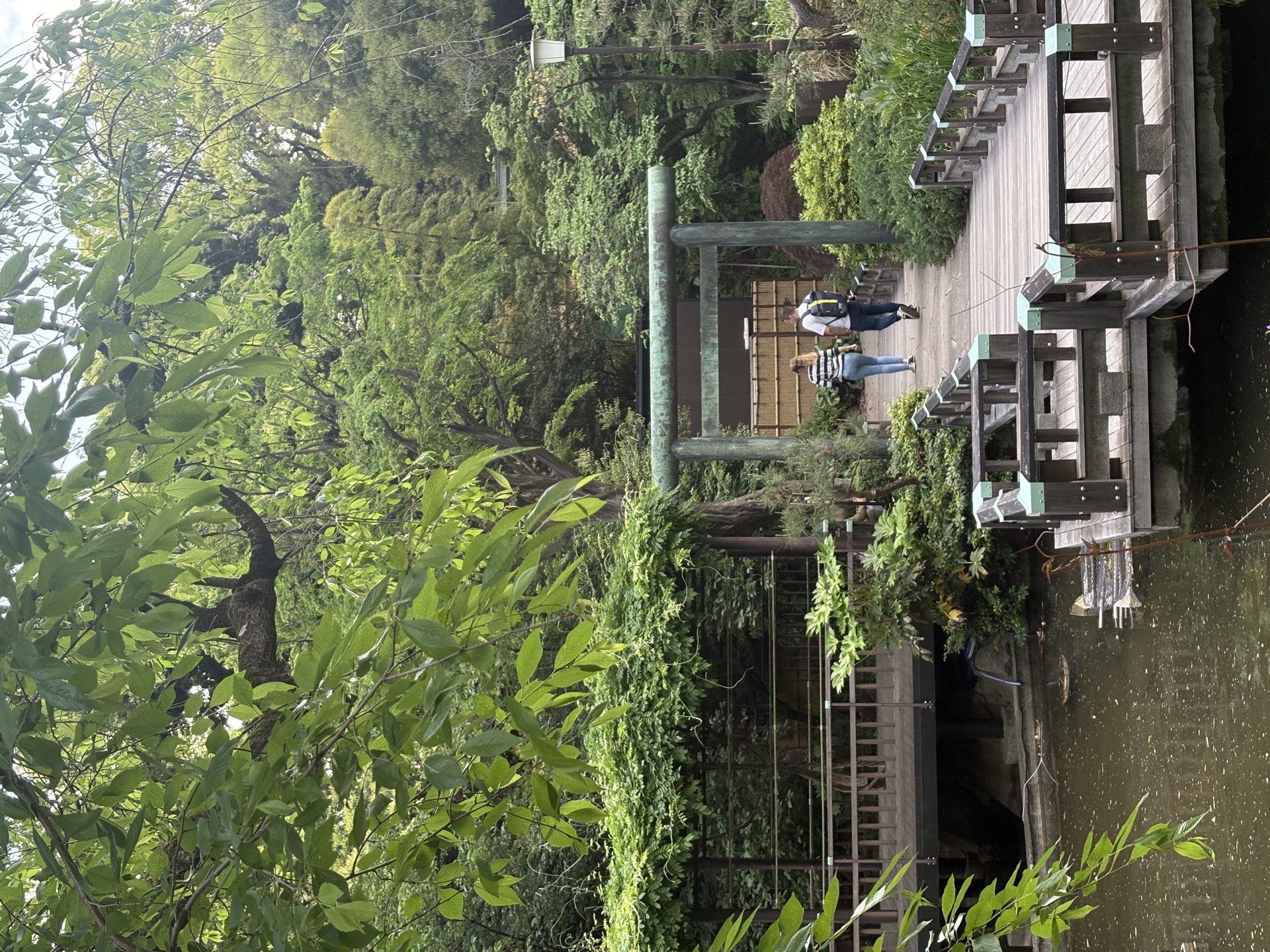 東郷神社の写真 5