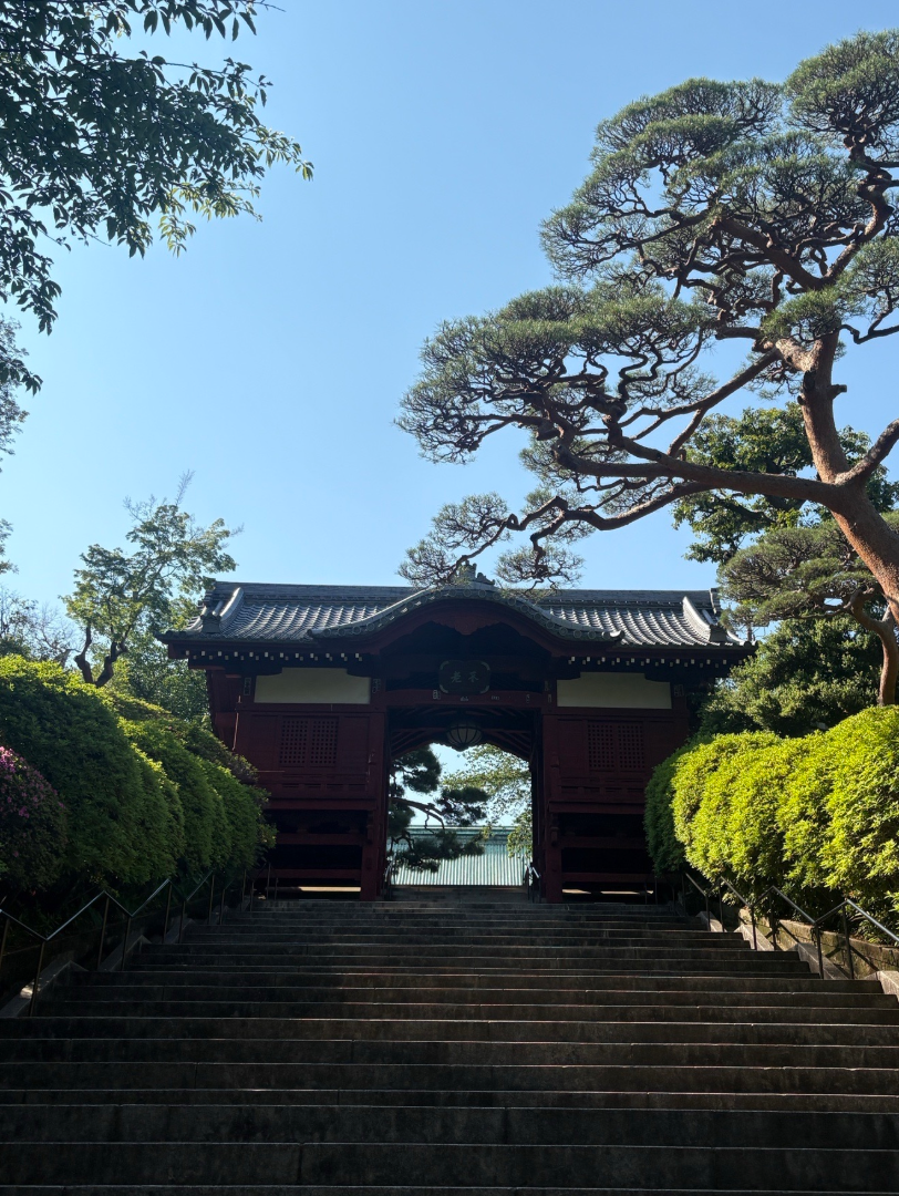 護国寺の写真 3