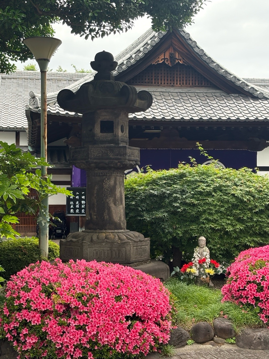 寛永寺