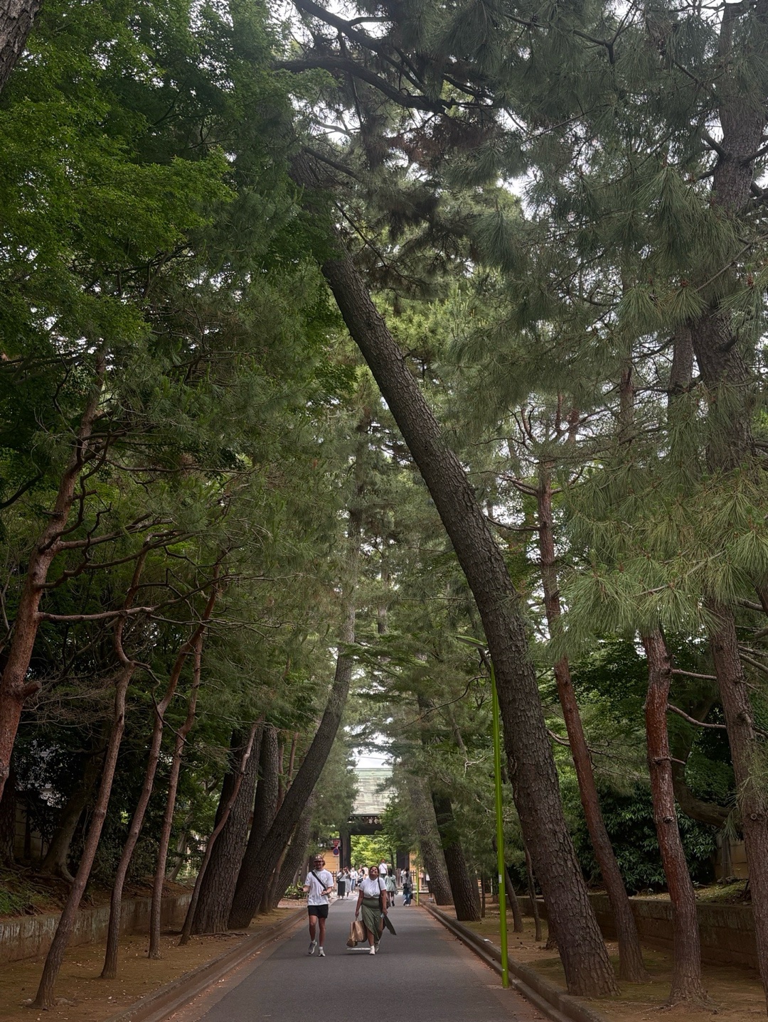 豪徳寺