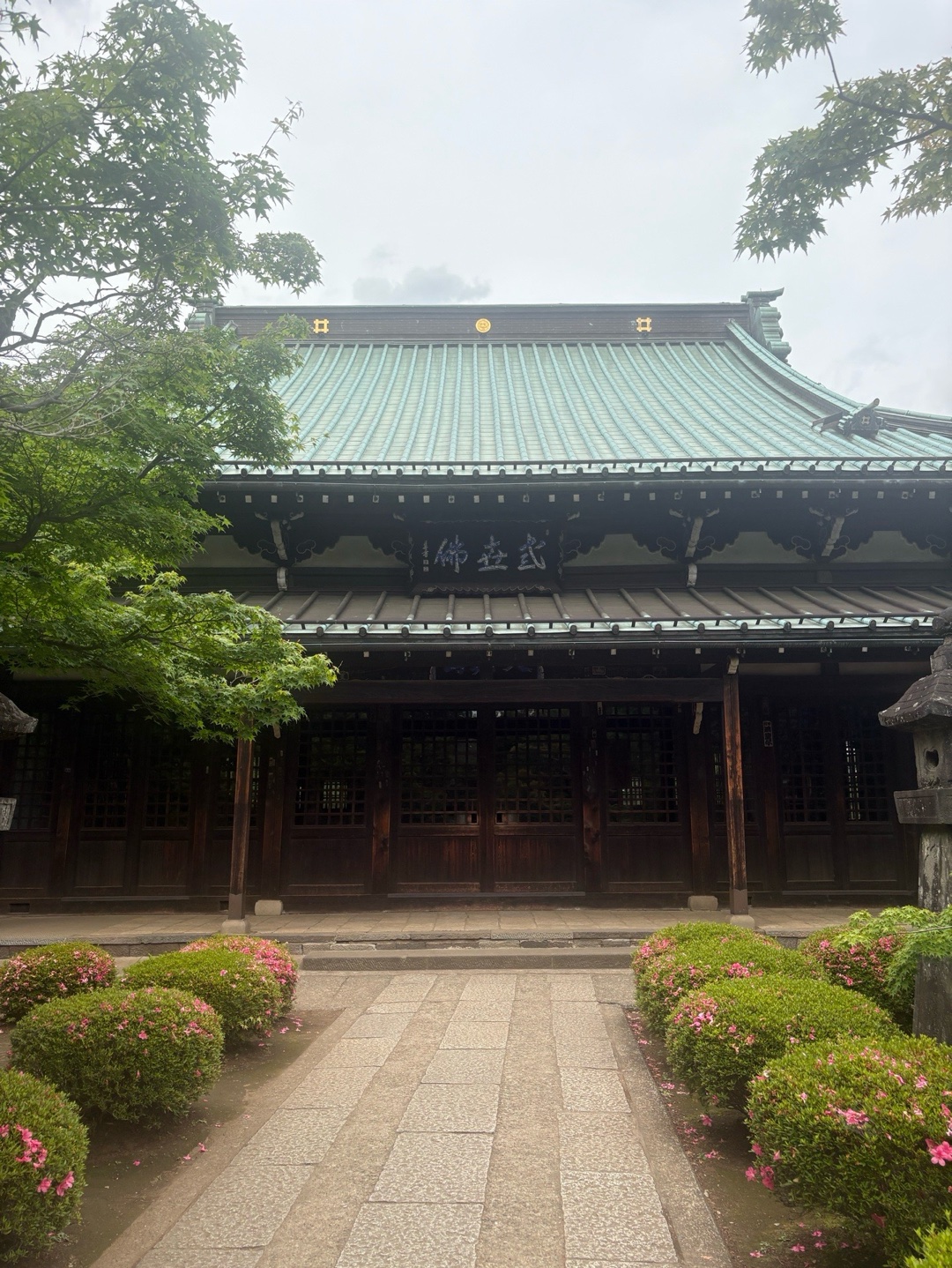Gotokuji 5