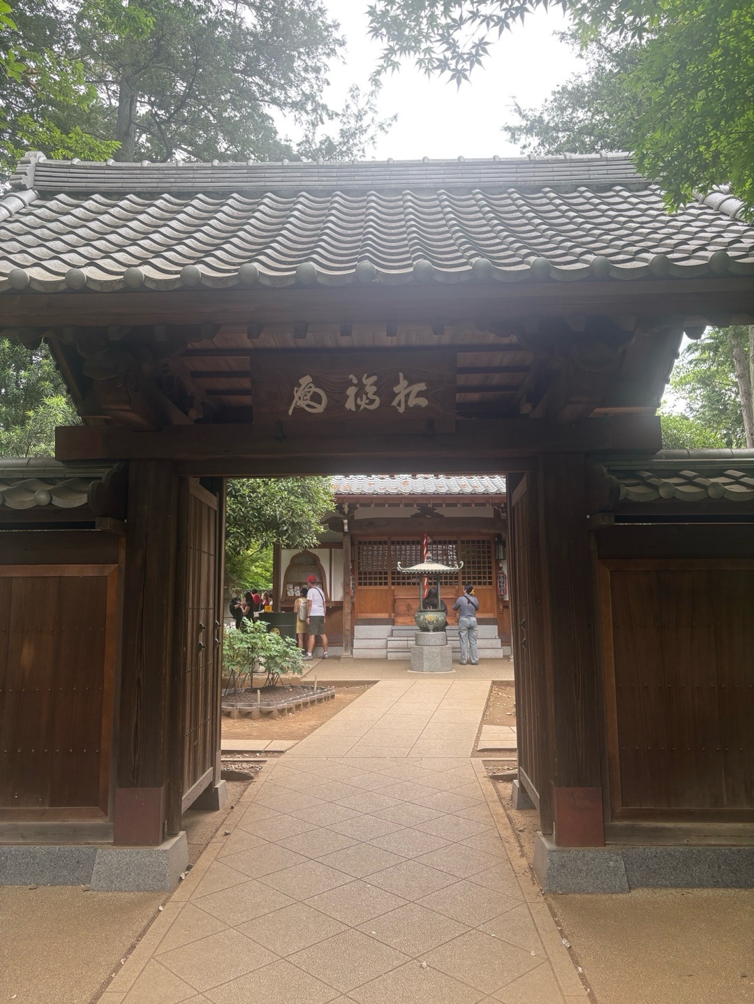 Photo 6