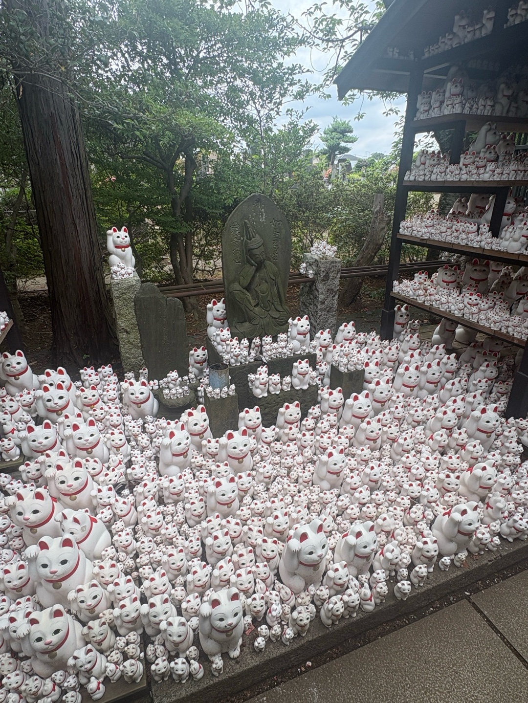 豪徳寺 7