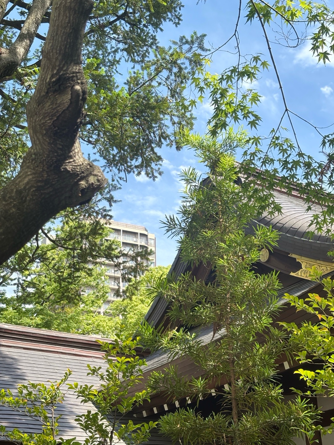 愛宕神社