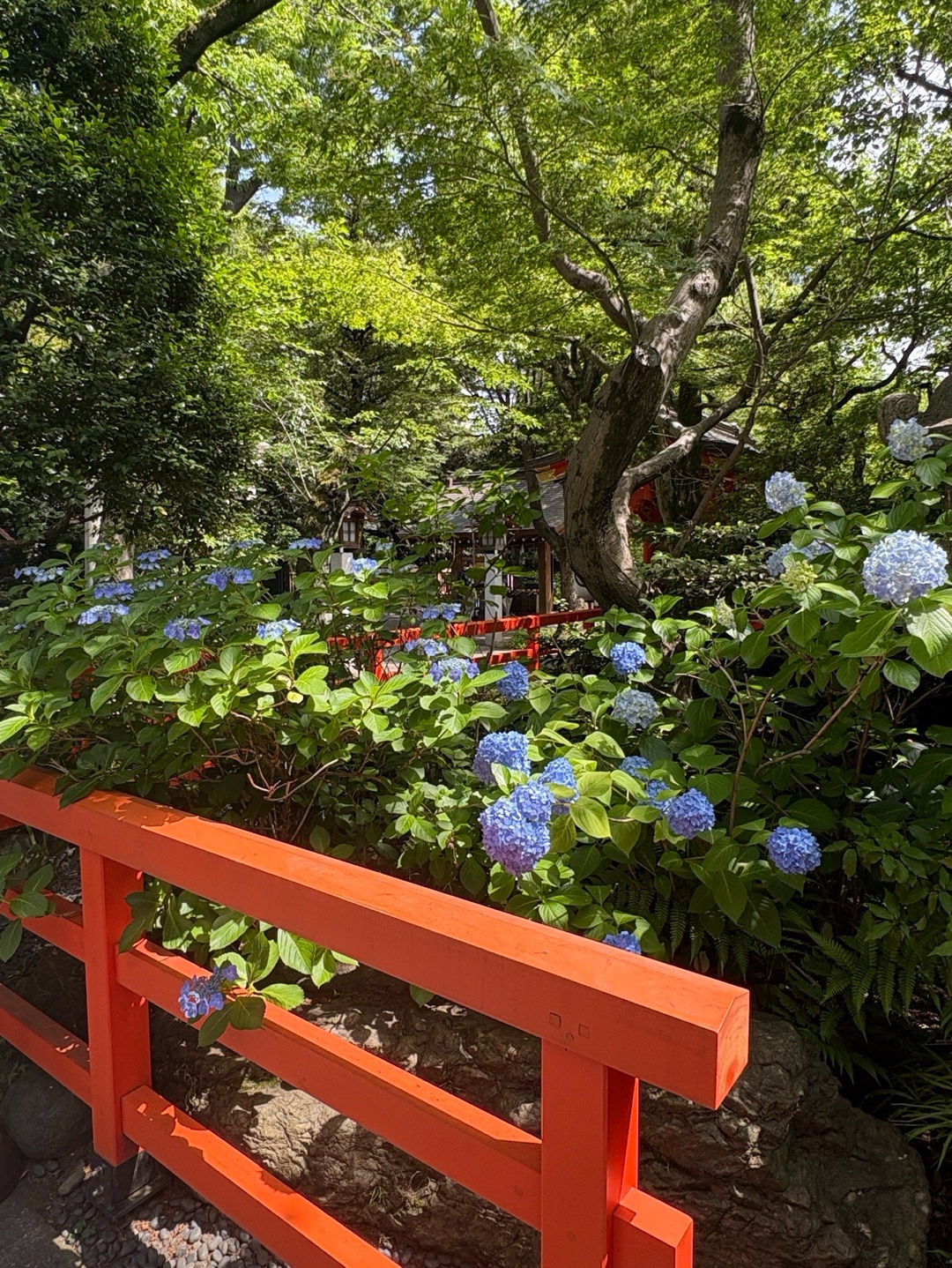愛宕神社