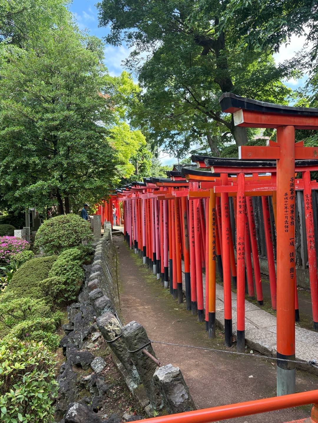 乙女稲荷神社 1