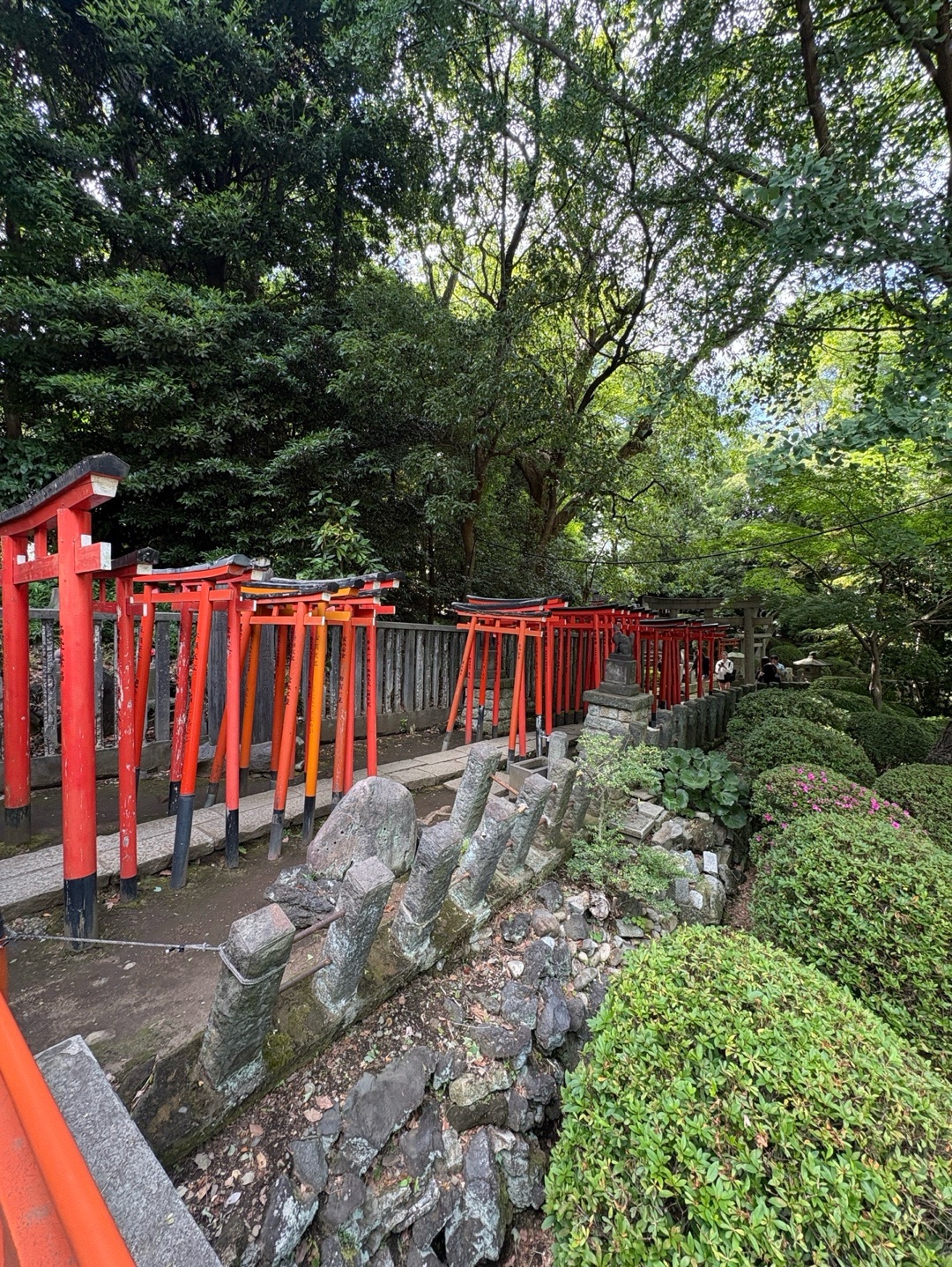 乙女稲荷神社 4