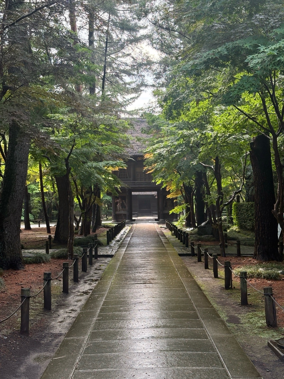 平林寺 8