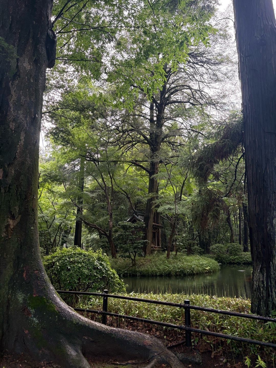 平林寺 4
