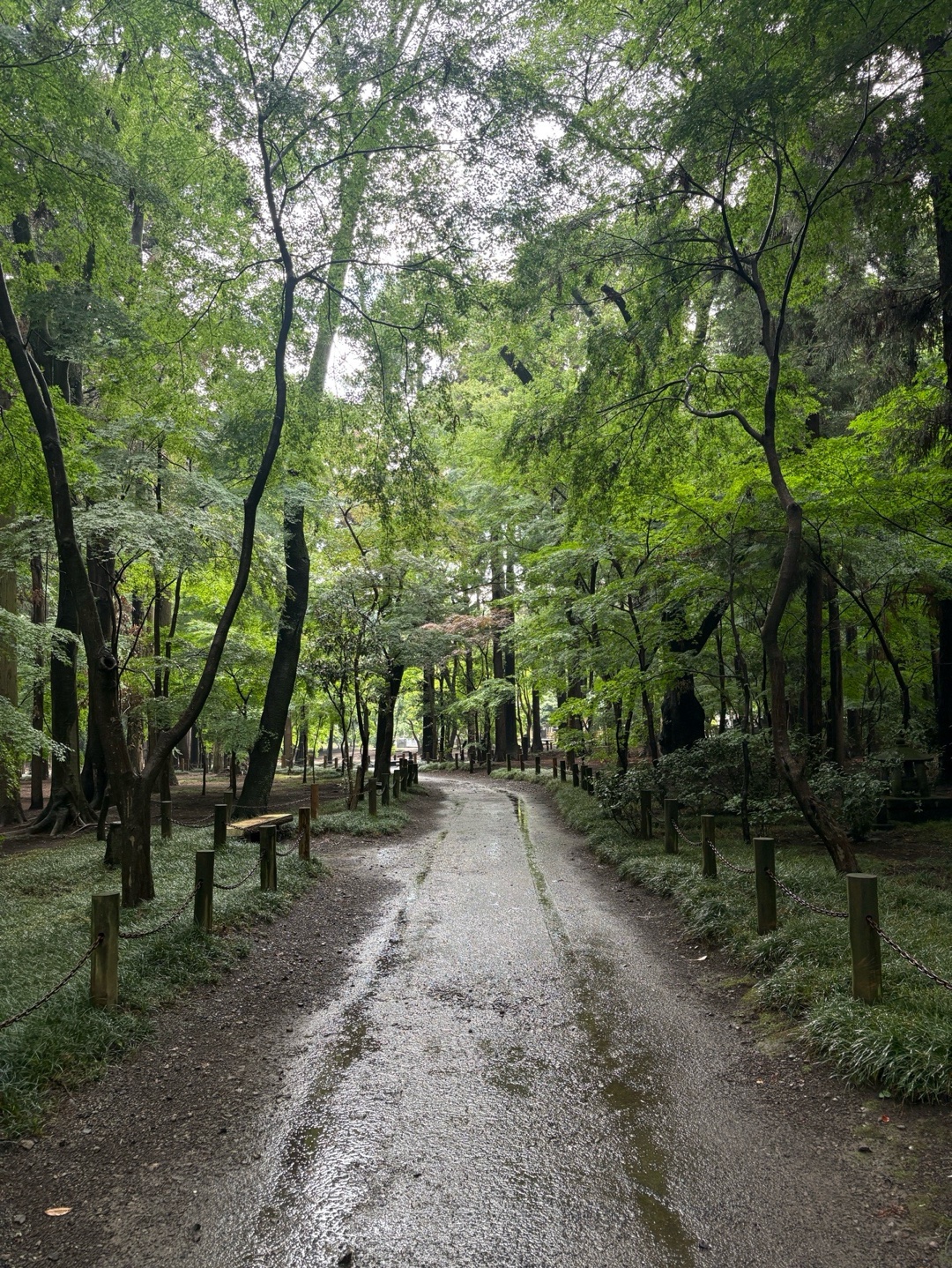 平林寺 5