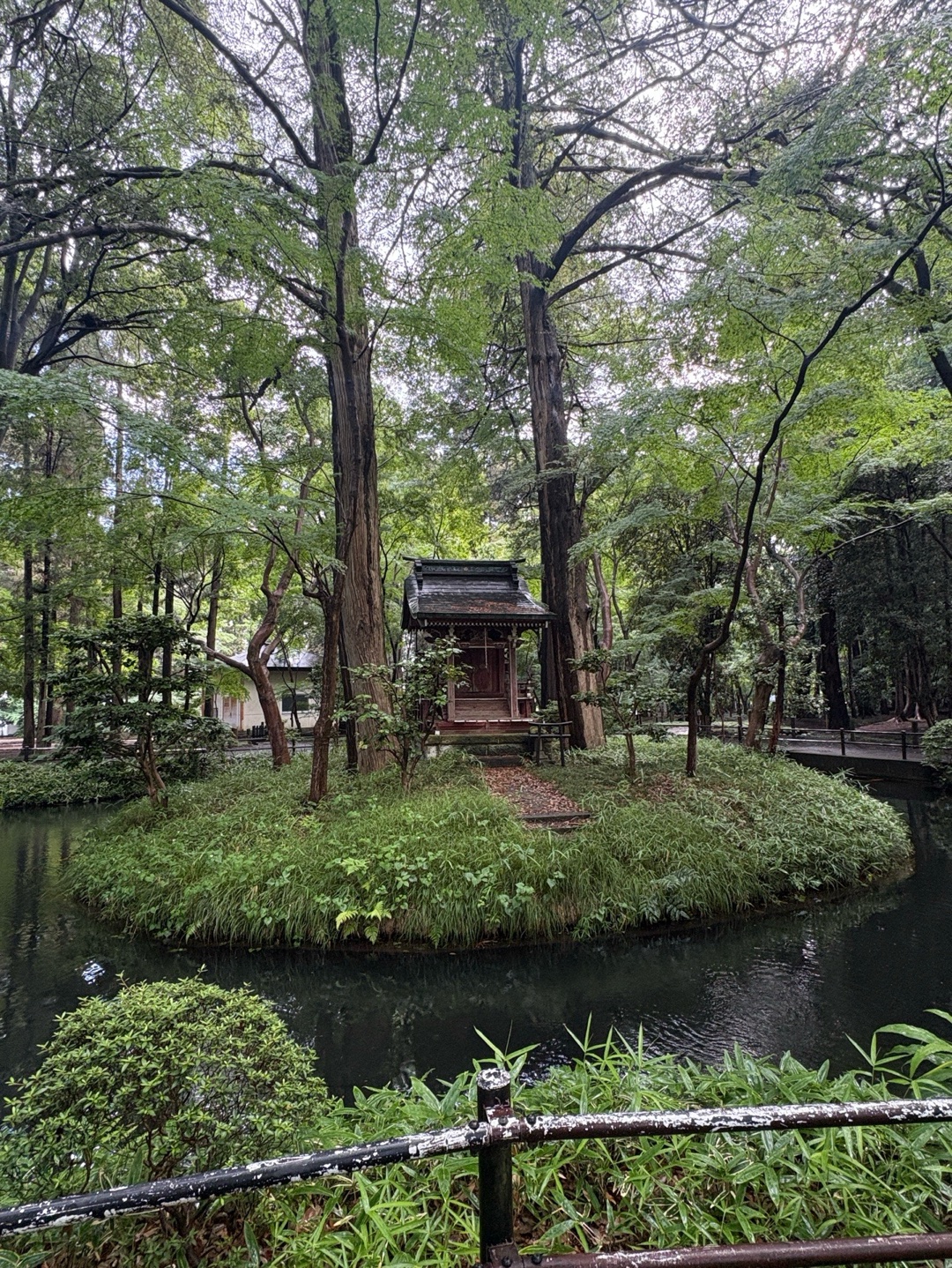 平林寺 6