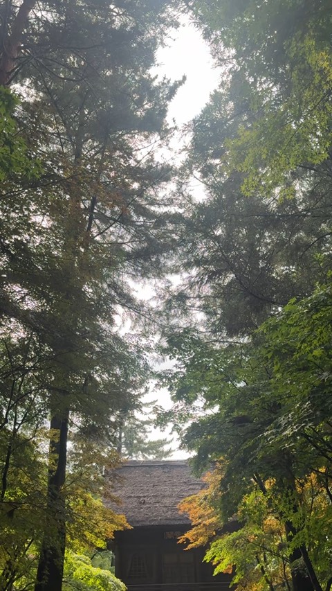 平林寺 3