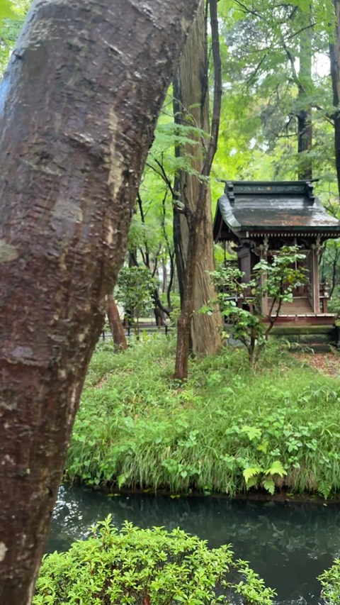 平林寺 1
