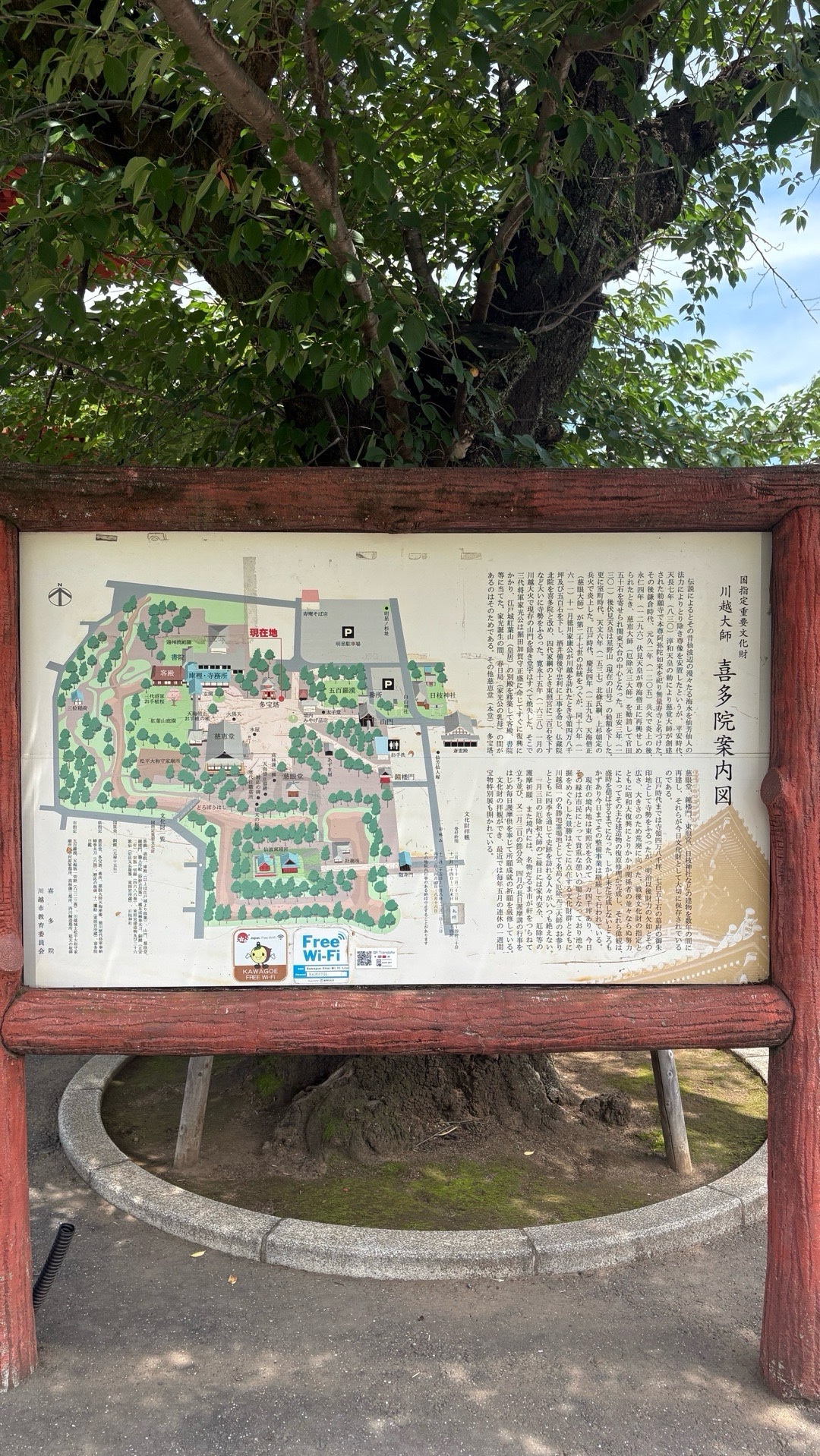 喜多院 7