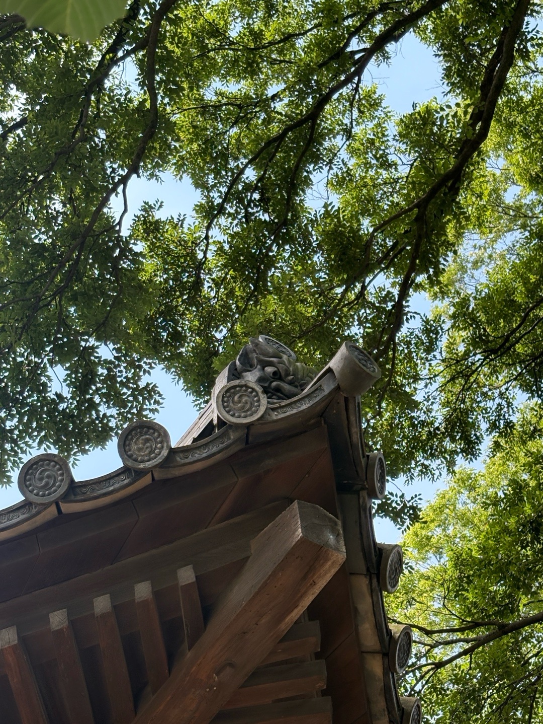 喜多院 4