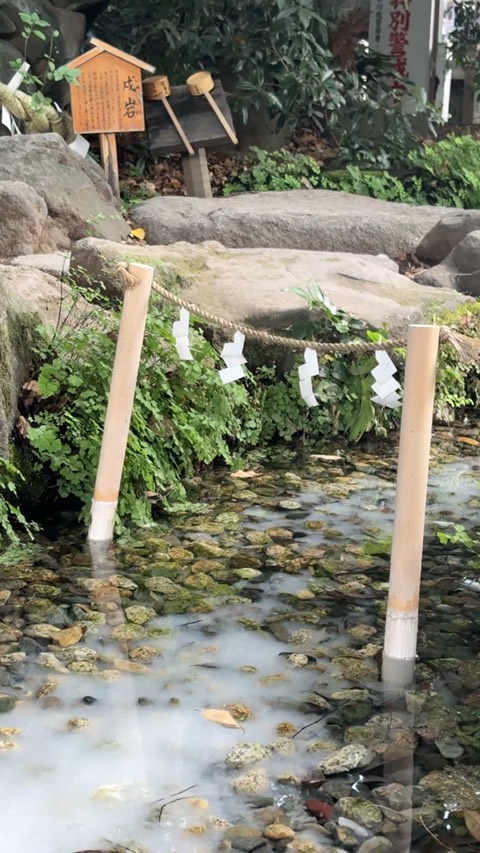 Kawagoe Hikawa Jinja 1