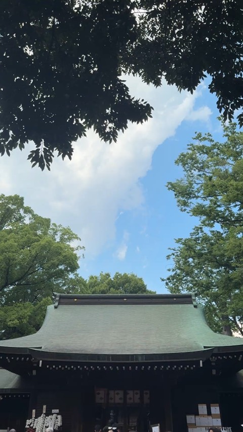 Kawagoe Hikawa Jinja 3