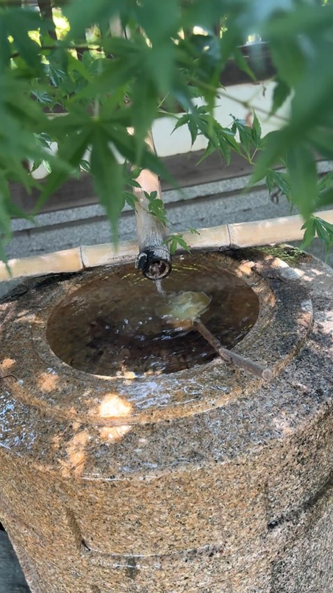蓮馨寺 1