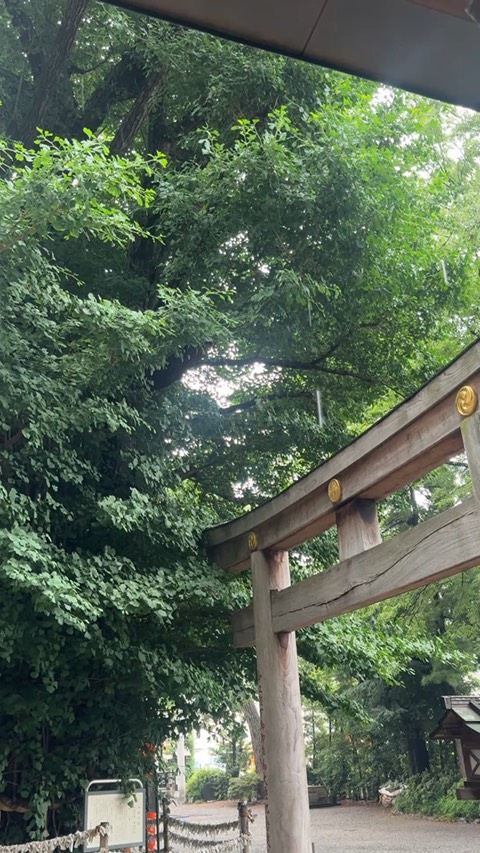 杵築大社 1