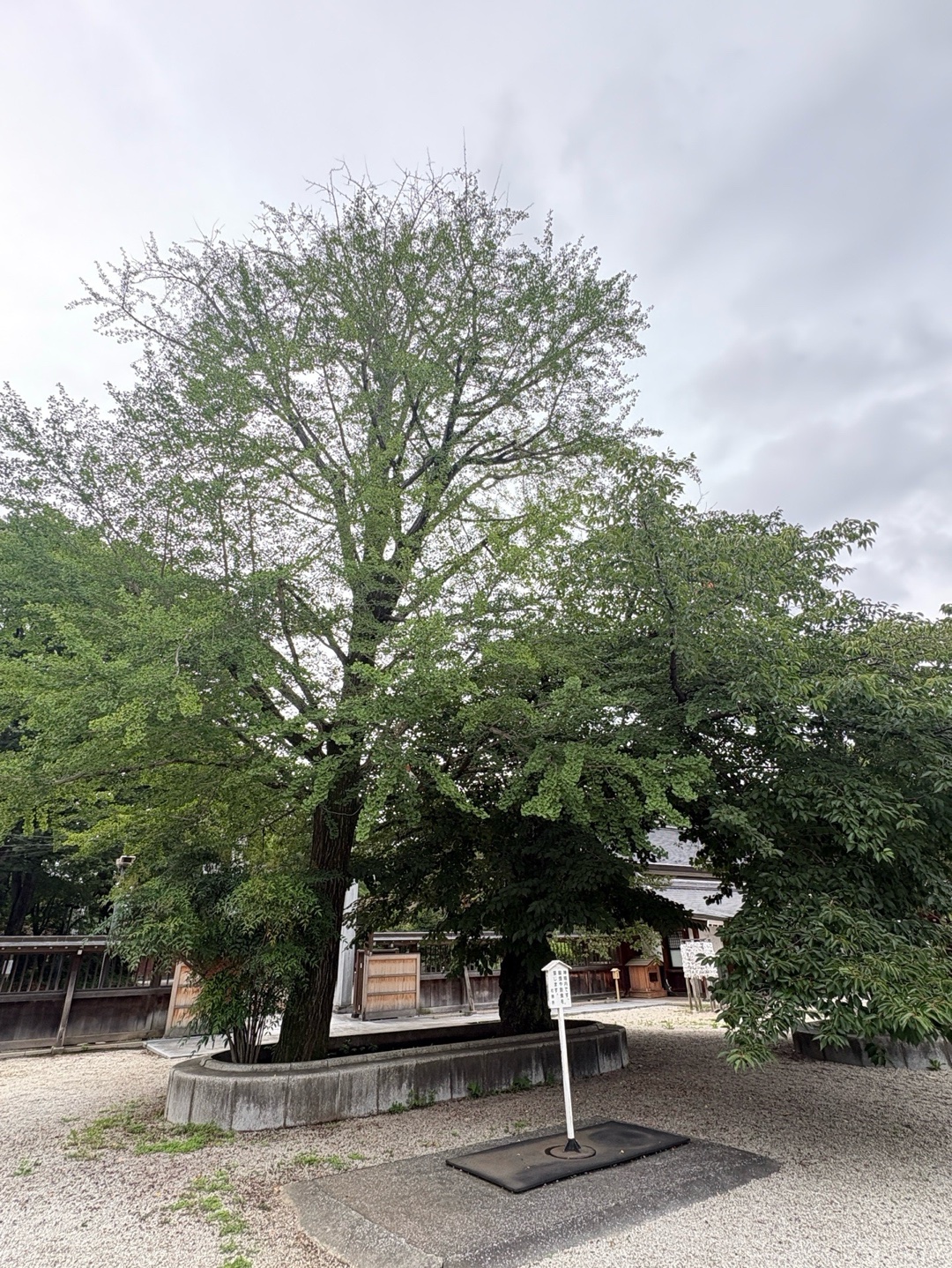 Tachikawa Suwa Jinja 4