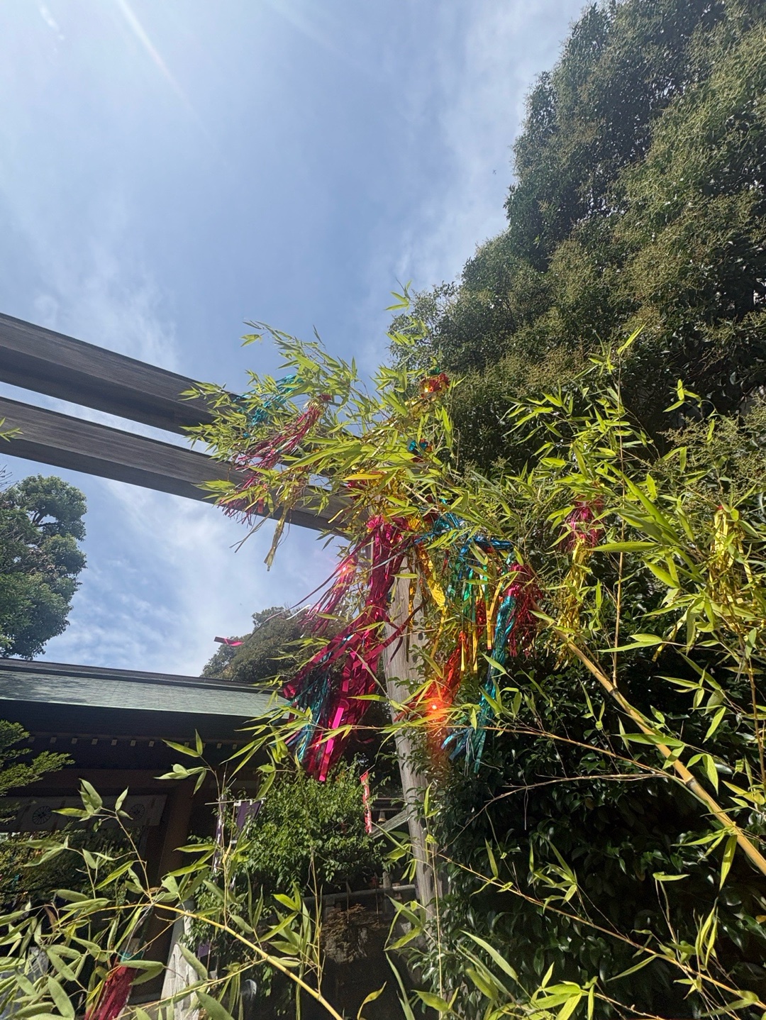 東京大神宮 2