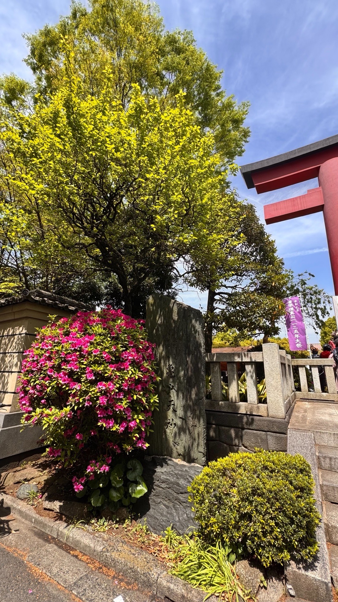亀戸天神社 3