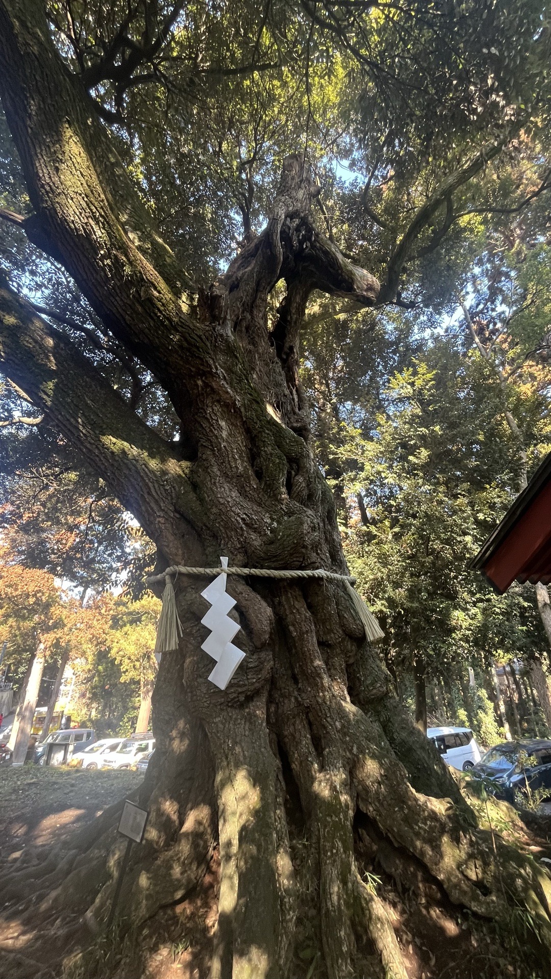 勝馬神社 6