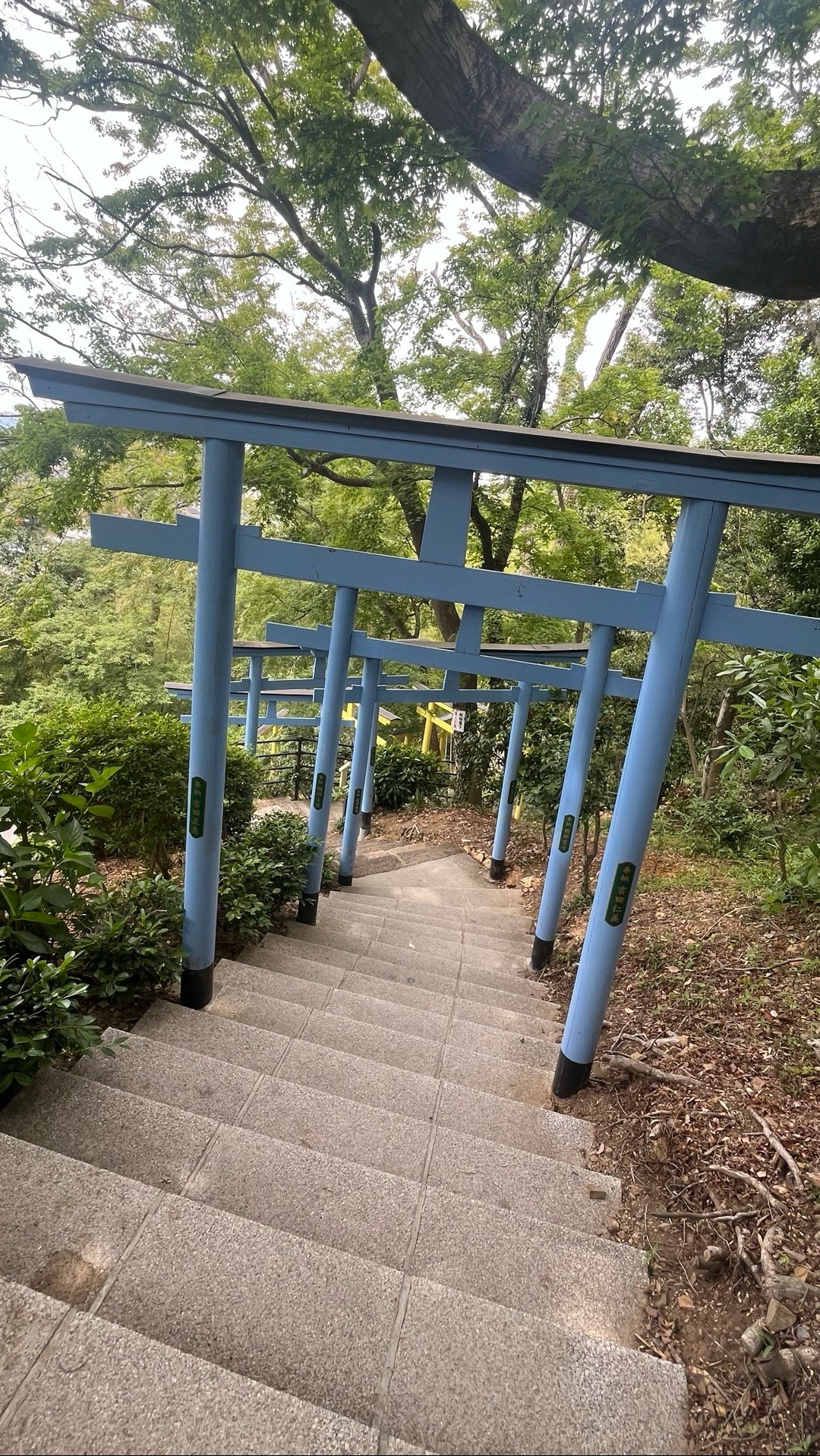 足利織姫神社 2