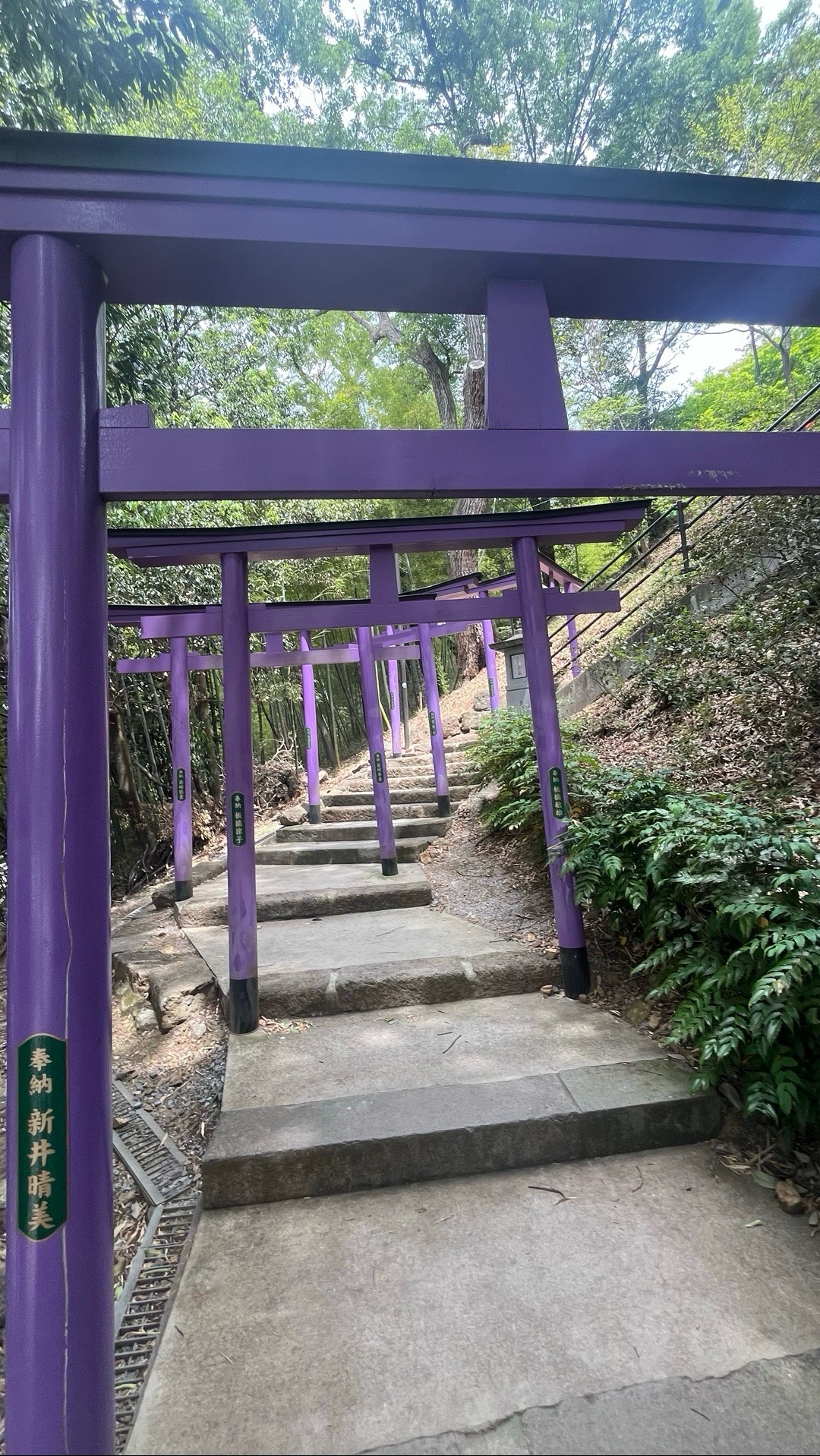 足利織姫神社 7