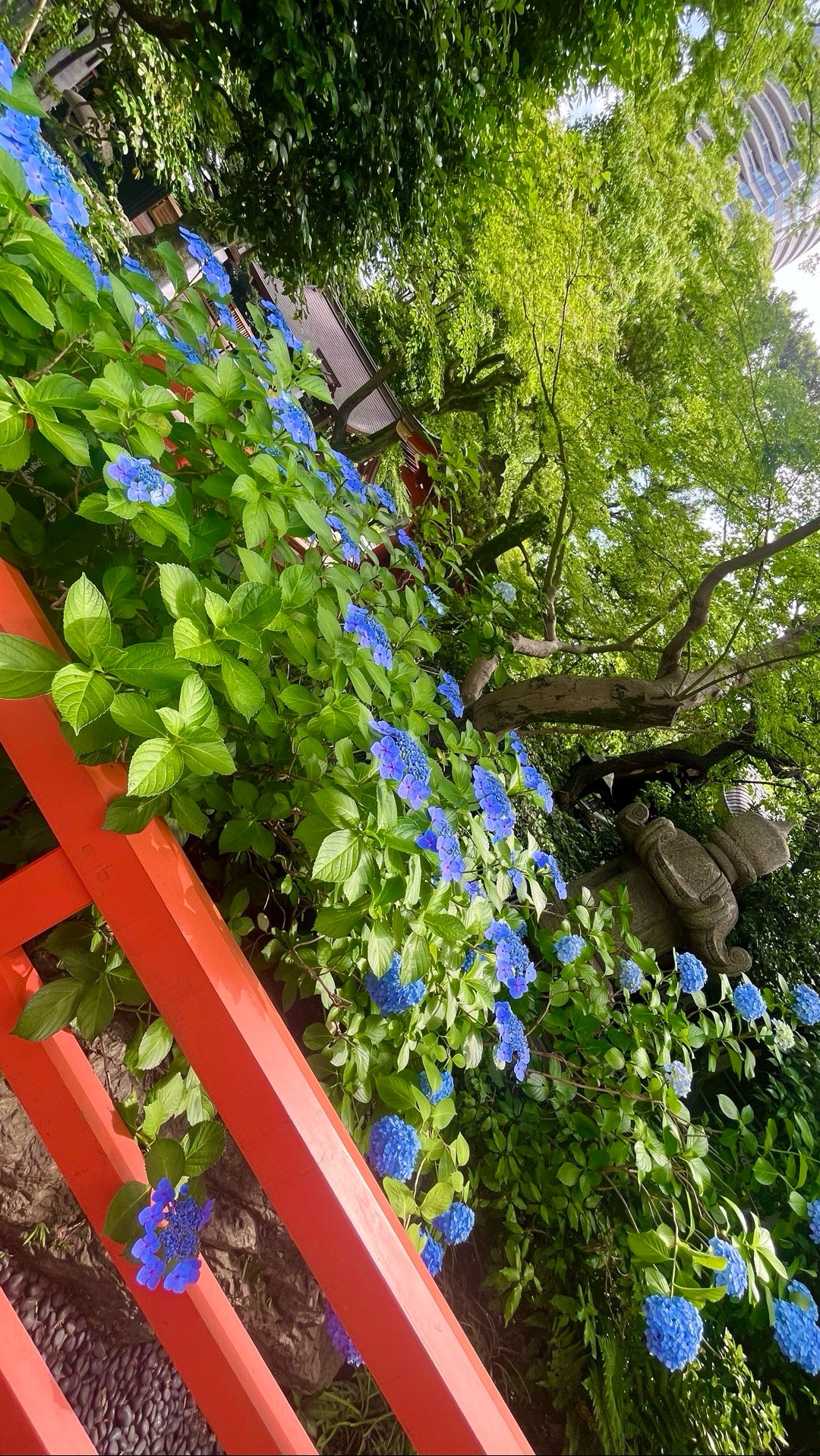 愛宕神社 2