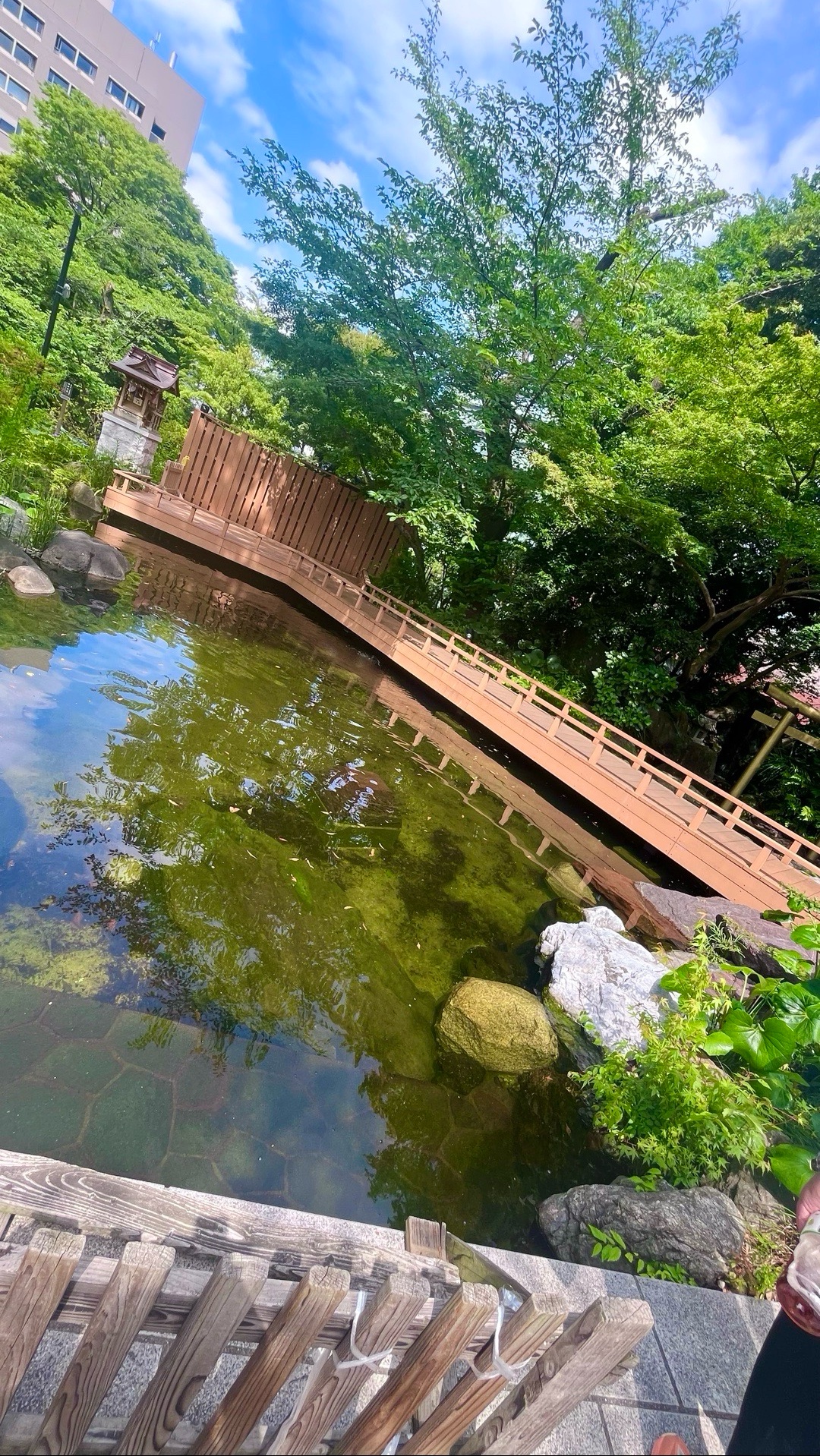 愛宕神社 3