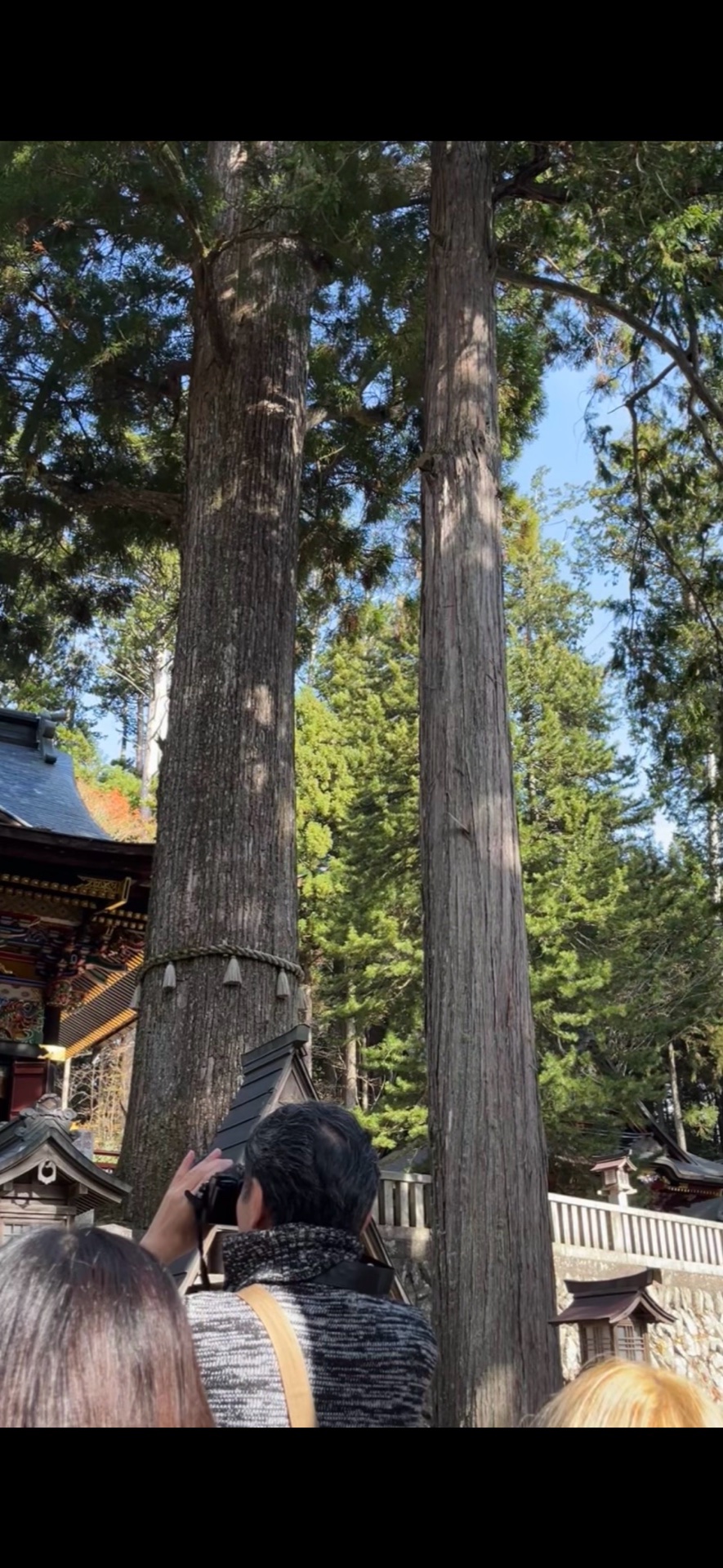 三峯神社 4