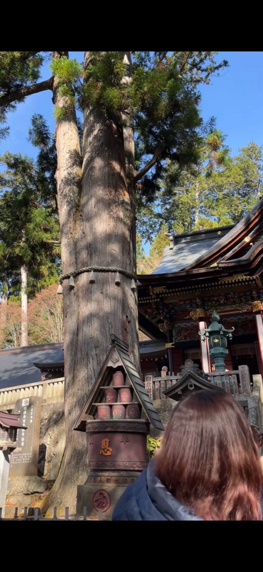 三峯神社 8