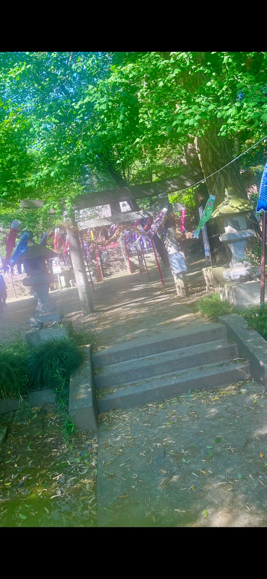 Hoshimiya Jinja 4