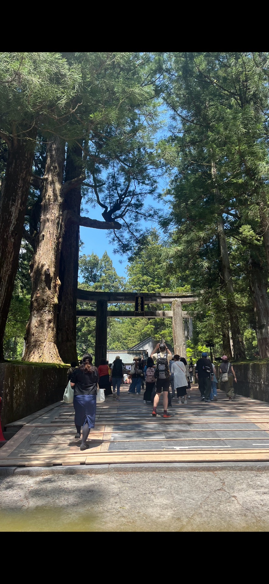 日光東照宮 9