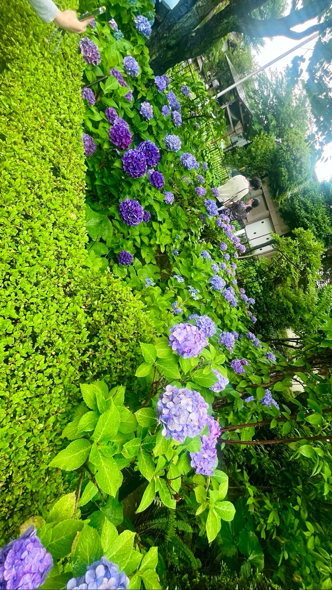 白山神社 5