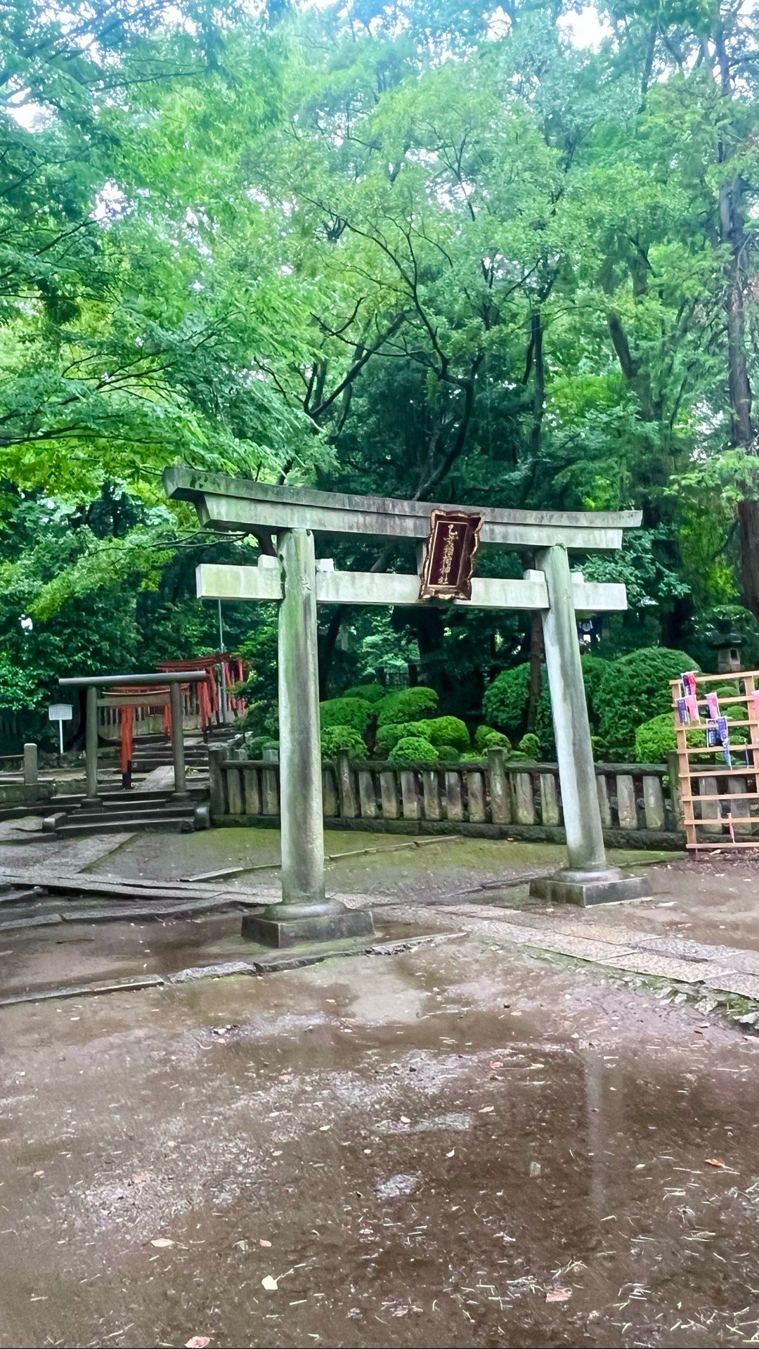 根津神社 5