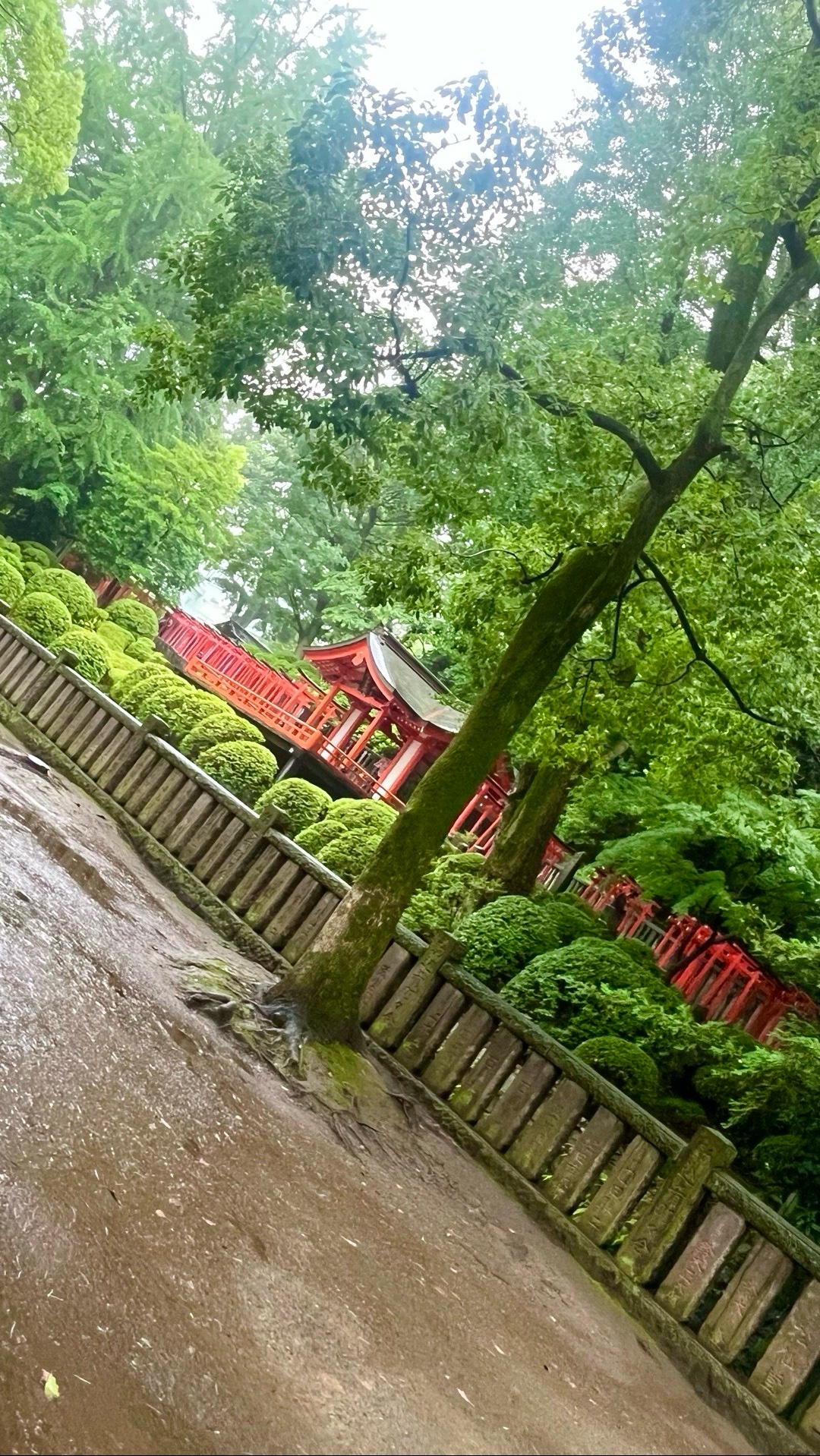 根津神社 4