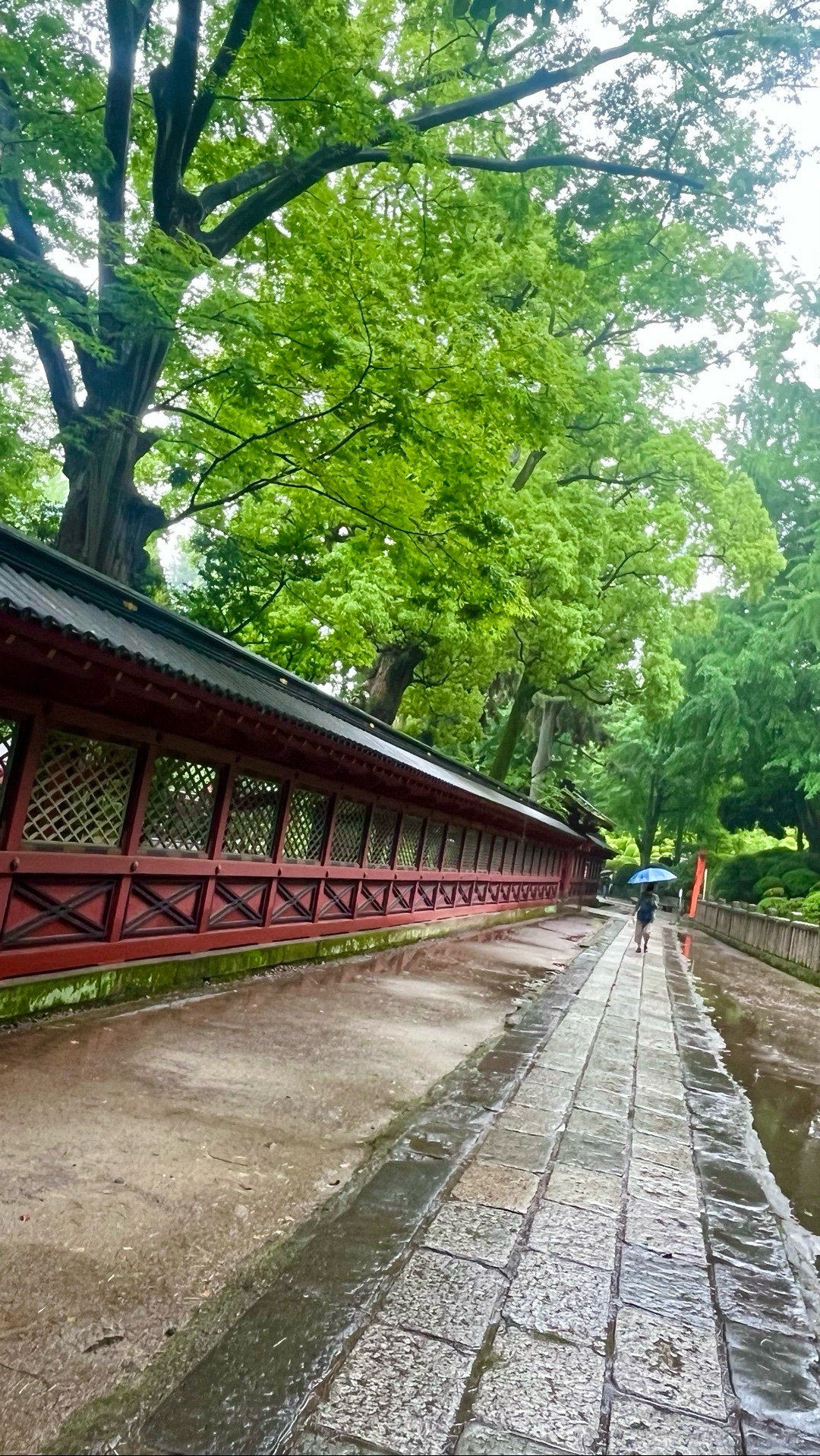 根津神社 6